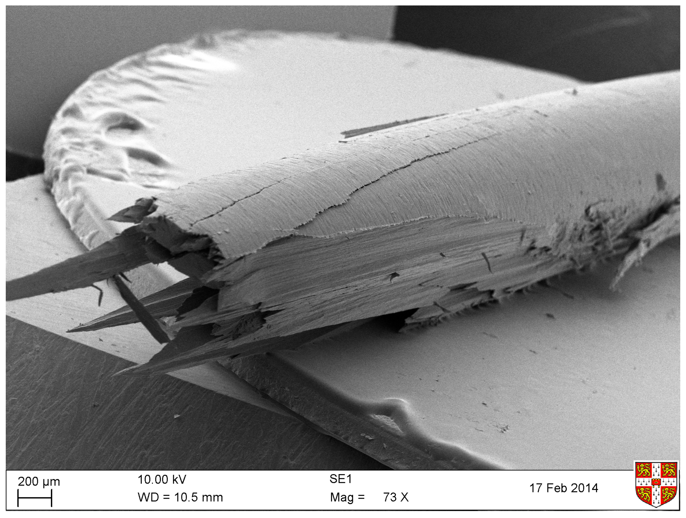 Materials 10 00497 g012 550