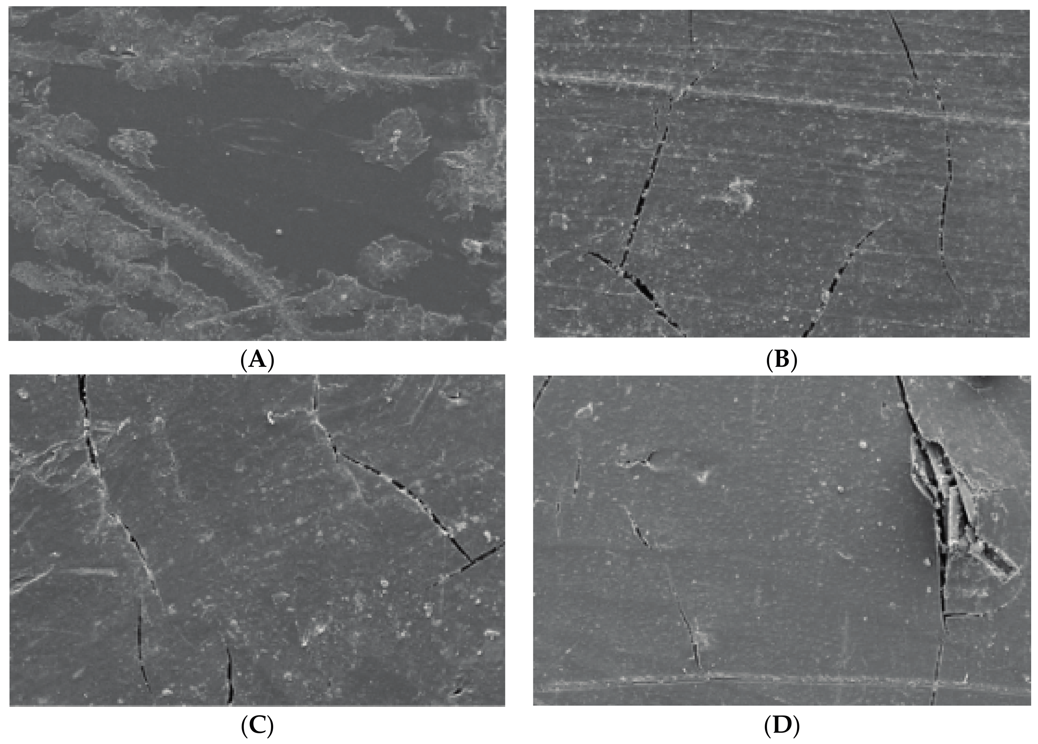 Materials 10 00500 g004 550