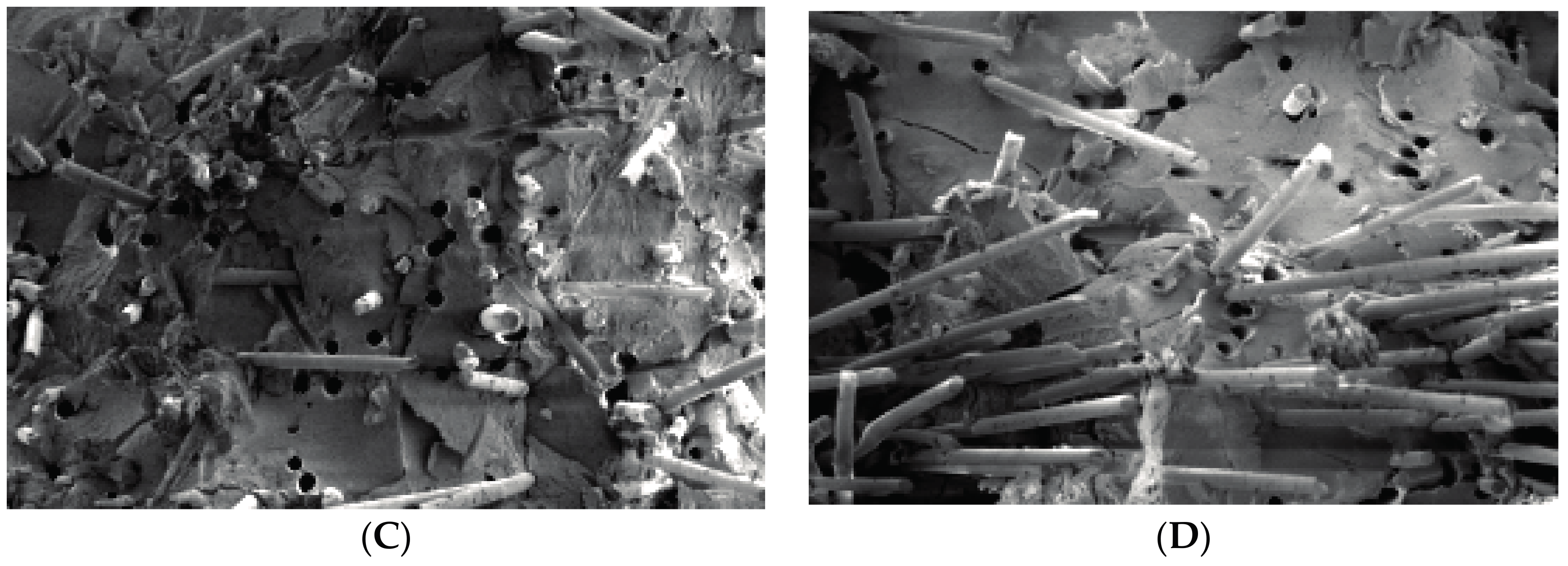 Materials 10 00500 g005b 550