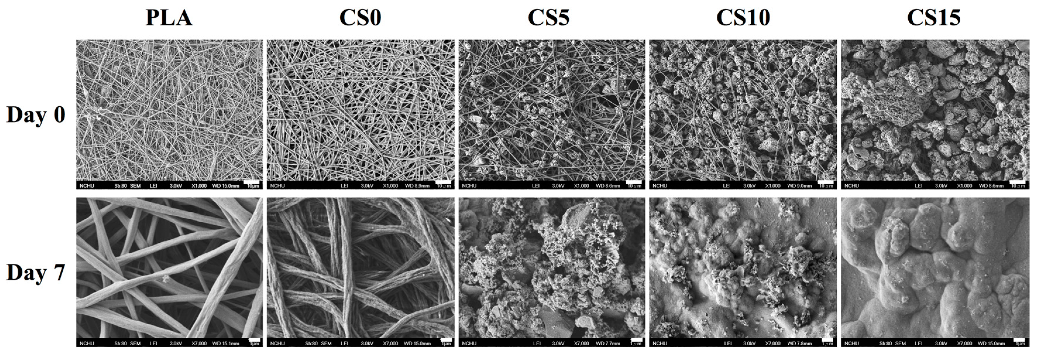 Materials 10 00501 g004