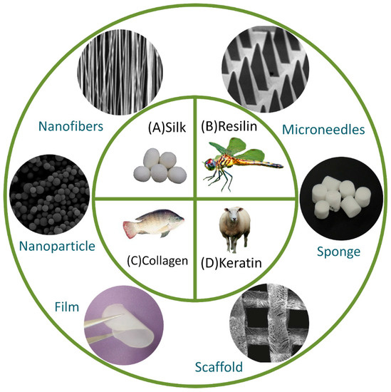 Protein-Based Drug-Delivery Materials