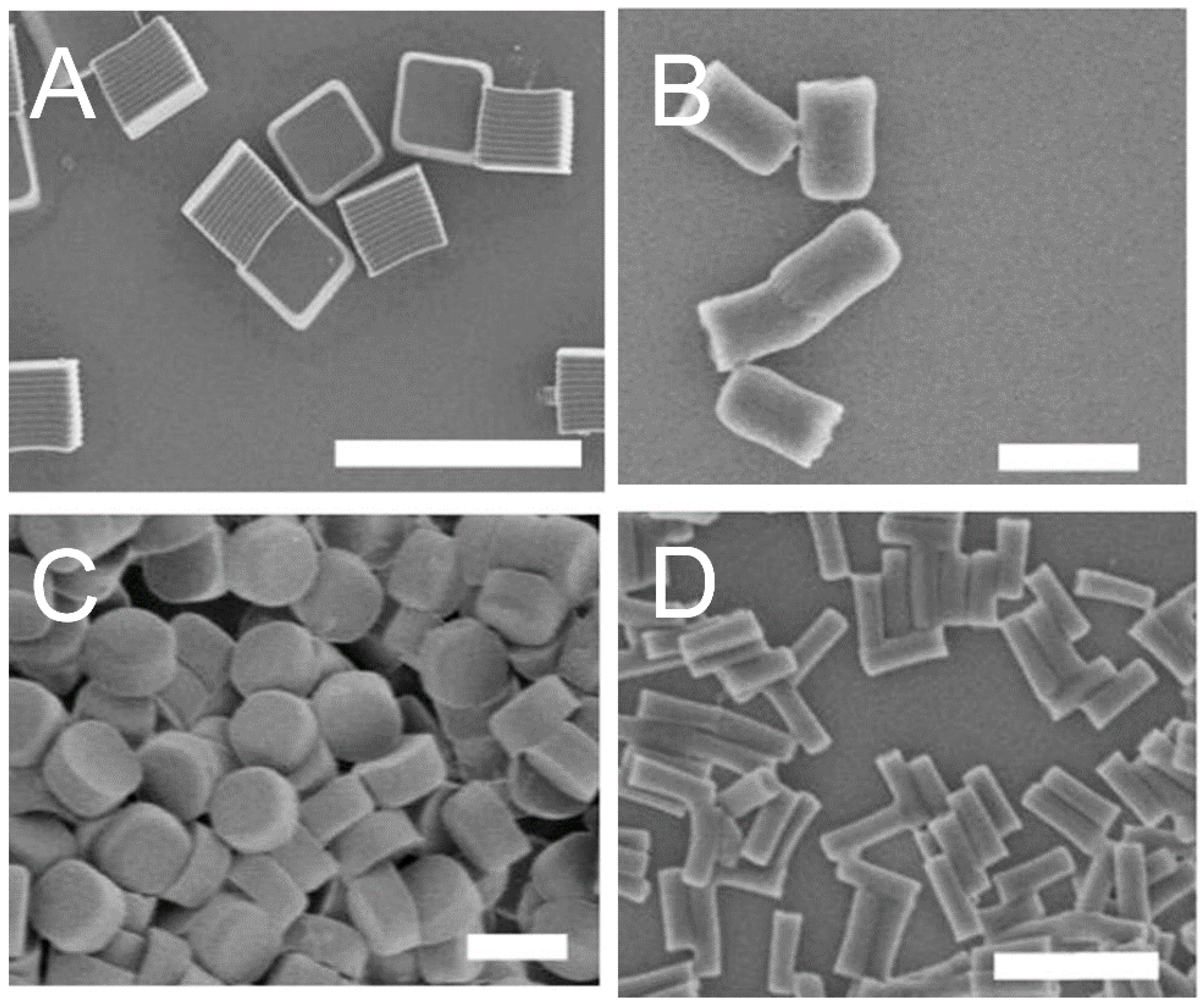 Materials 10 00517 g007 550