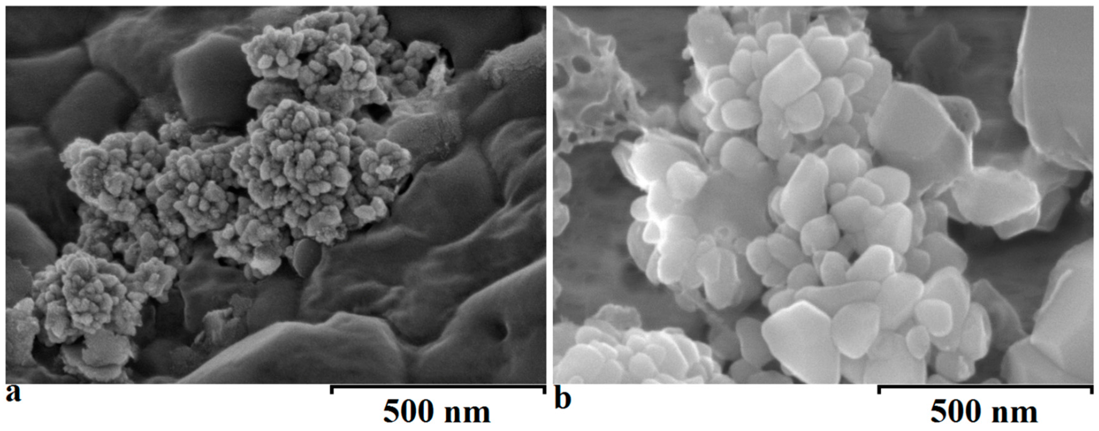 Materials 10 00537 g004