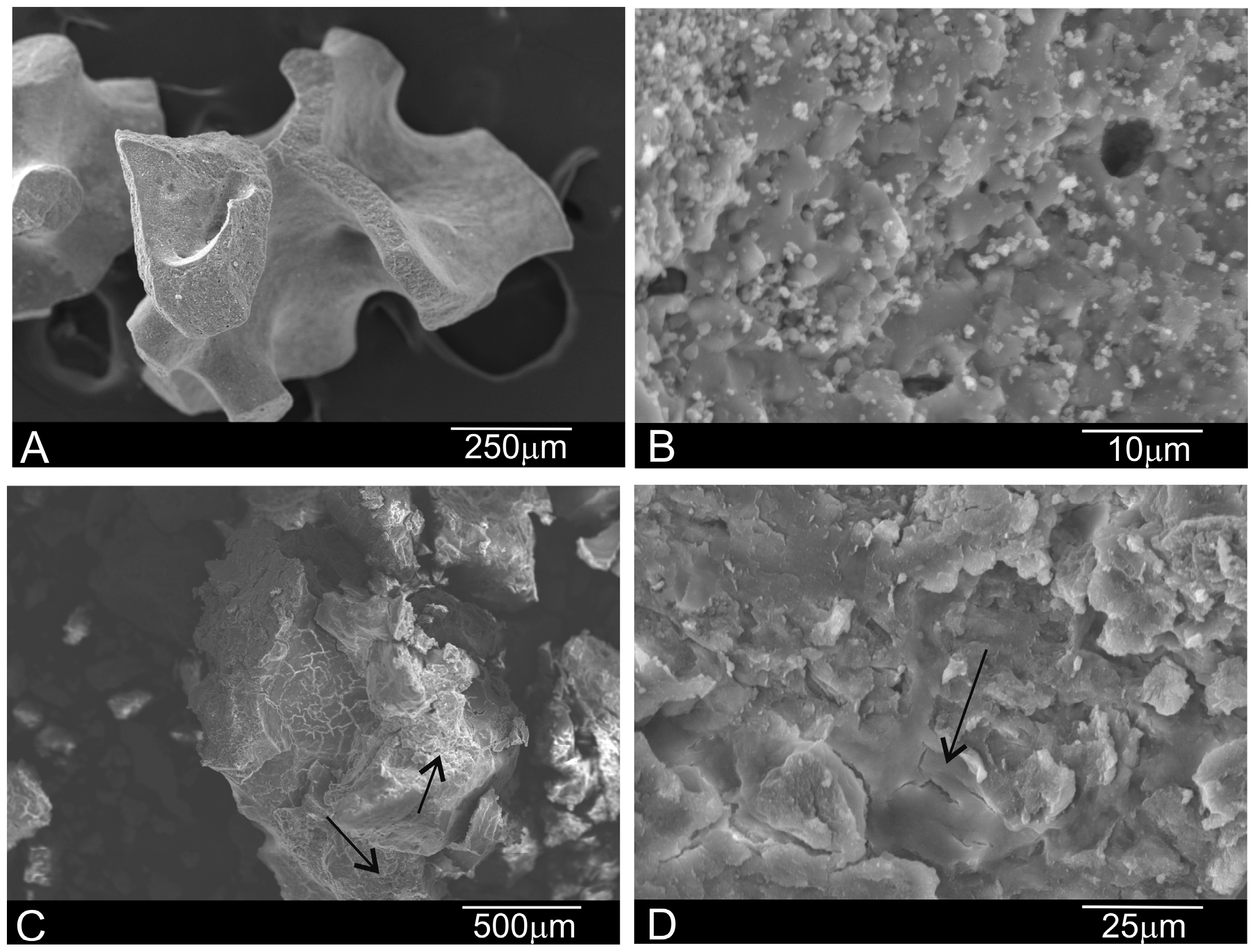 Materials 10 00542 g003