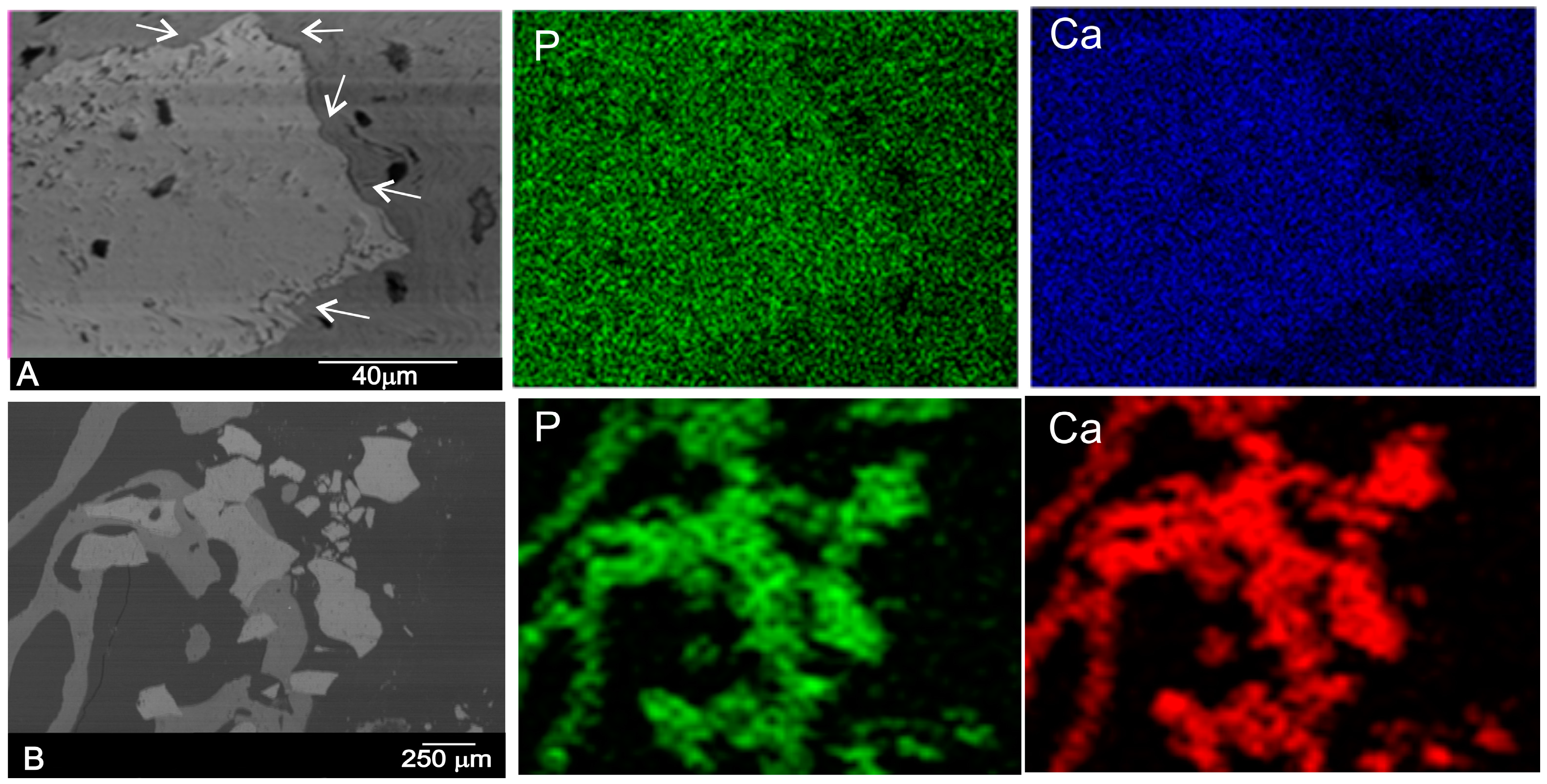 Materials 10 00542 g007