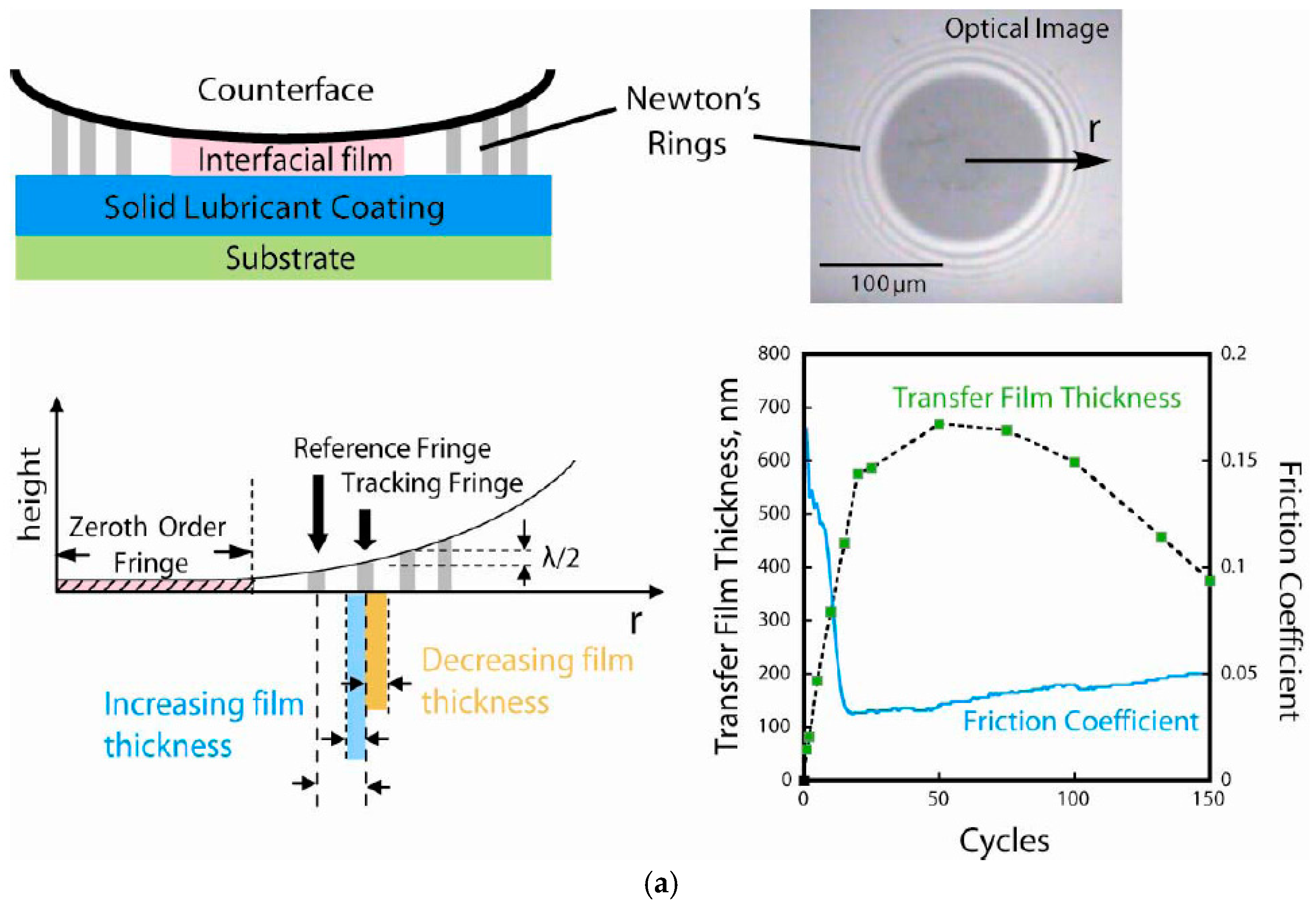 Newton Rings Experiment | PDF | Natural Philosophy | Electromagnetic  Radiation