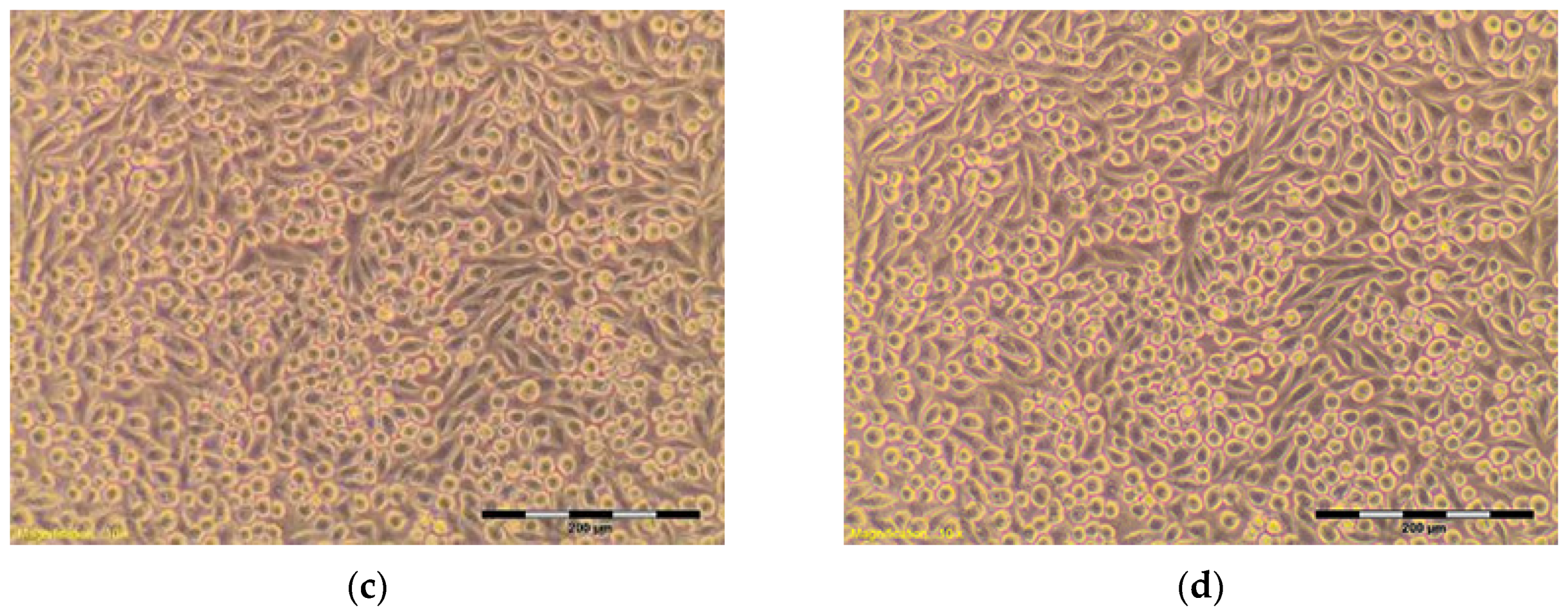 Materials 10 00590 g006b 550