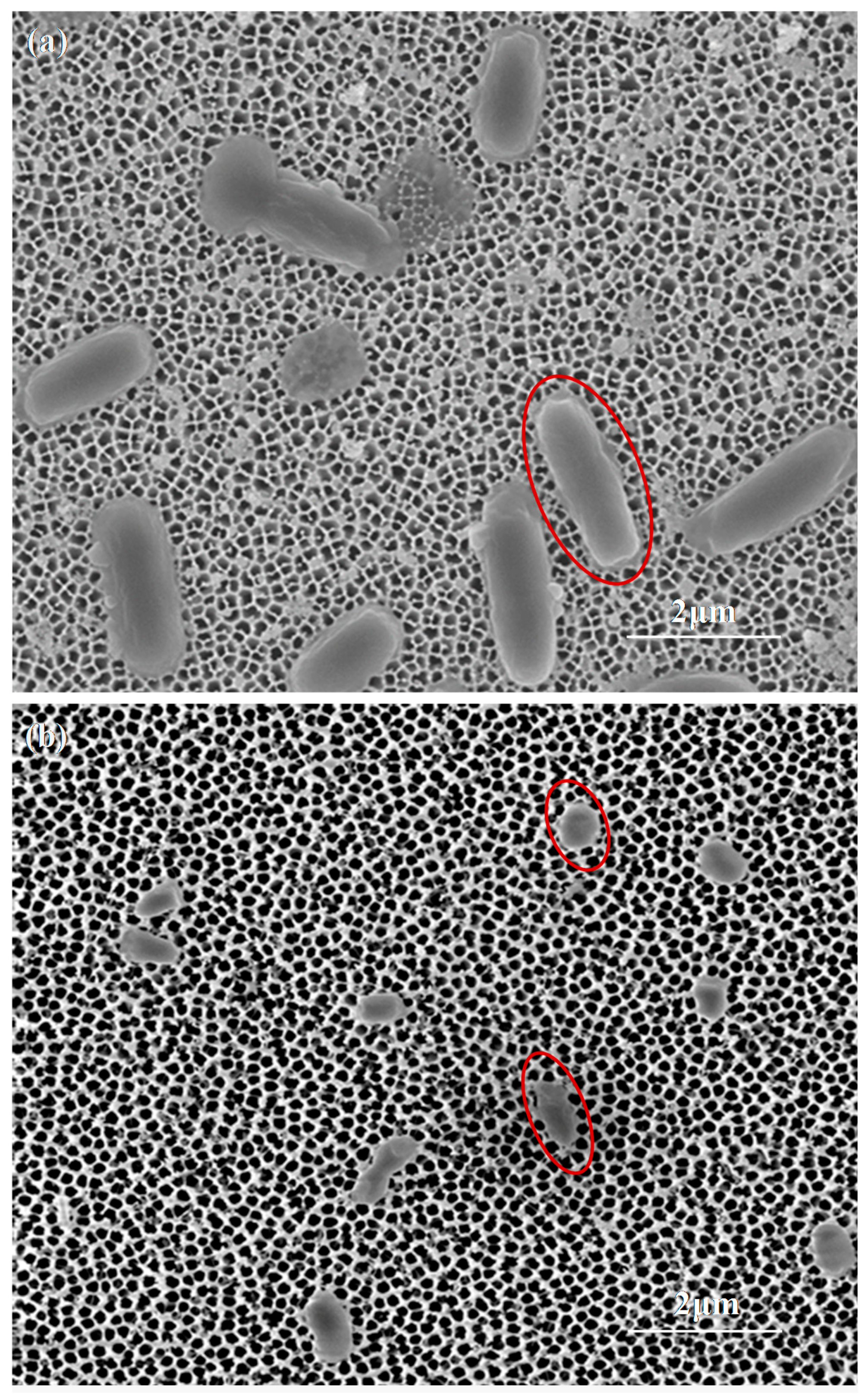 Materials 10 00603 g003