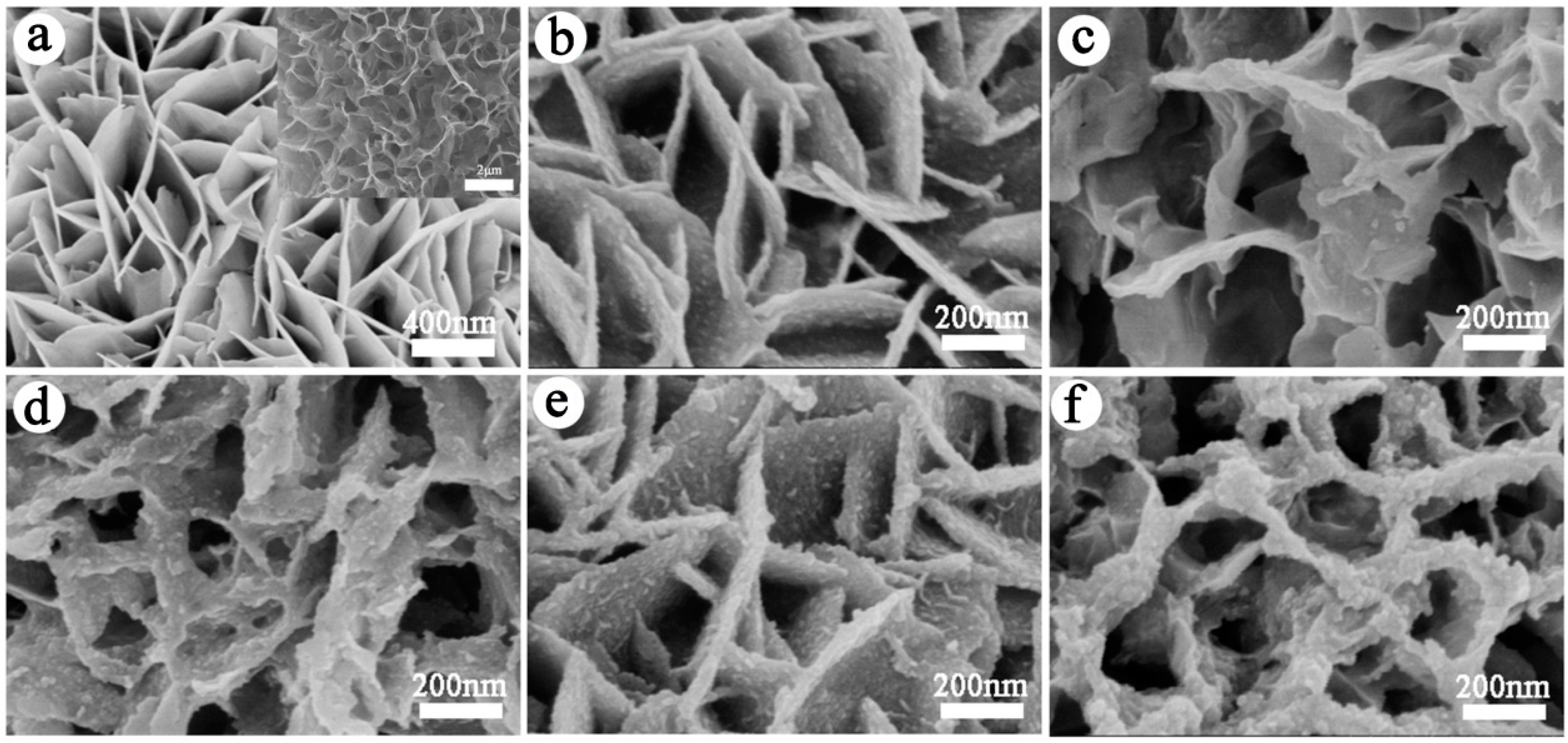 Materials 10 00608 g002