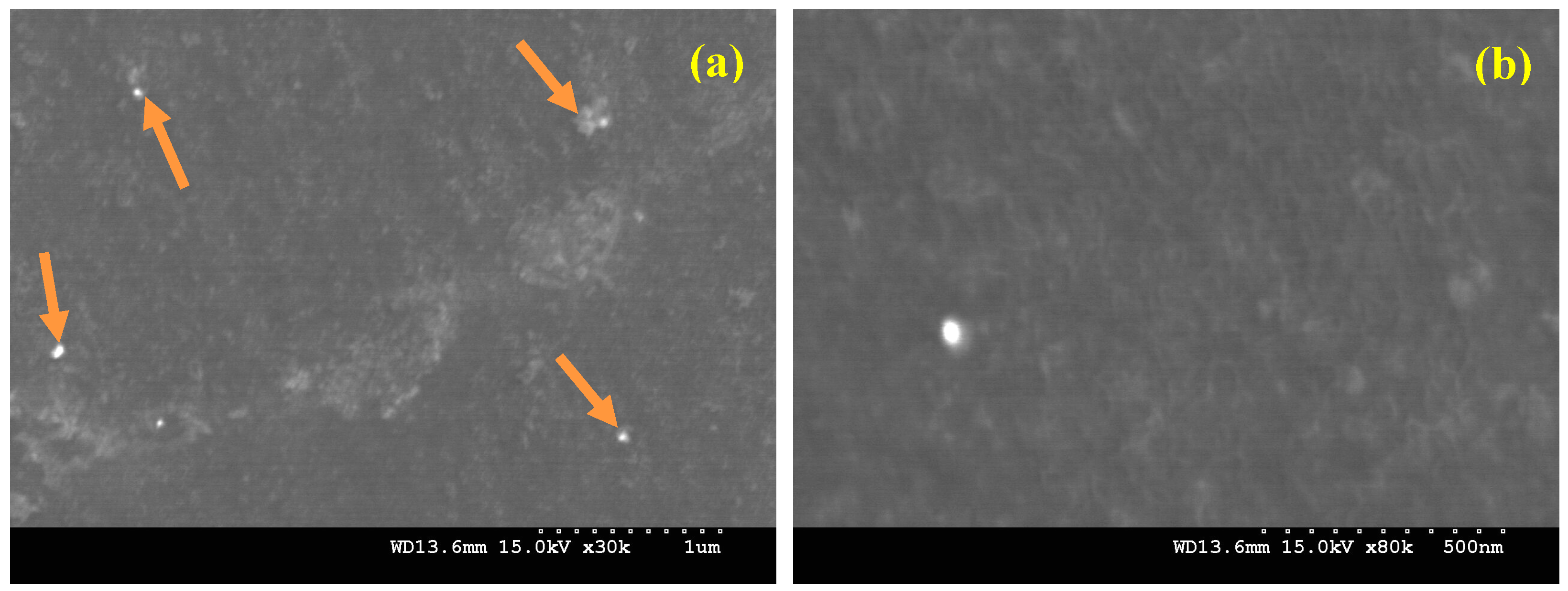 Materials 10 00621 g005 550