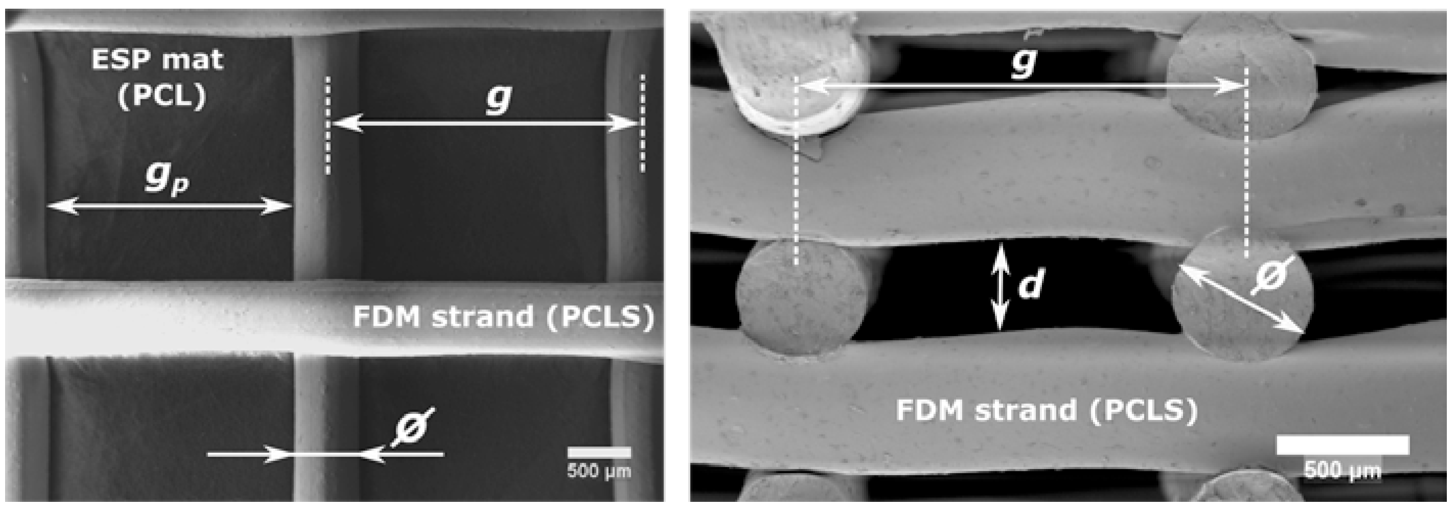 Materials 10 00640 g003 550