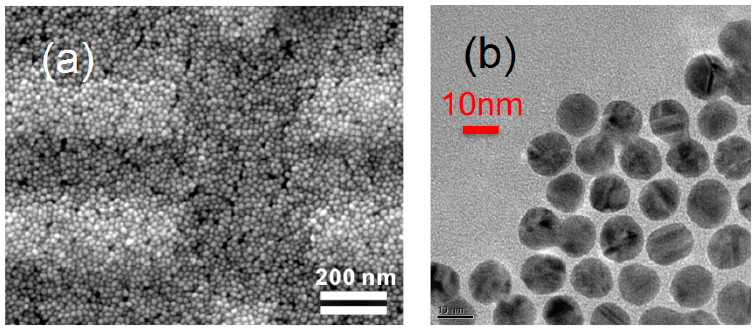 Materials 10 00645 g001 550