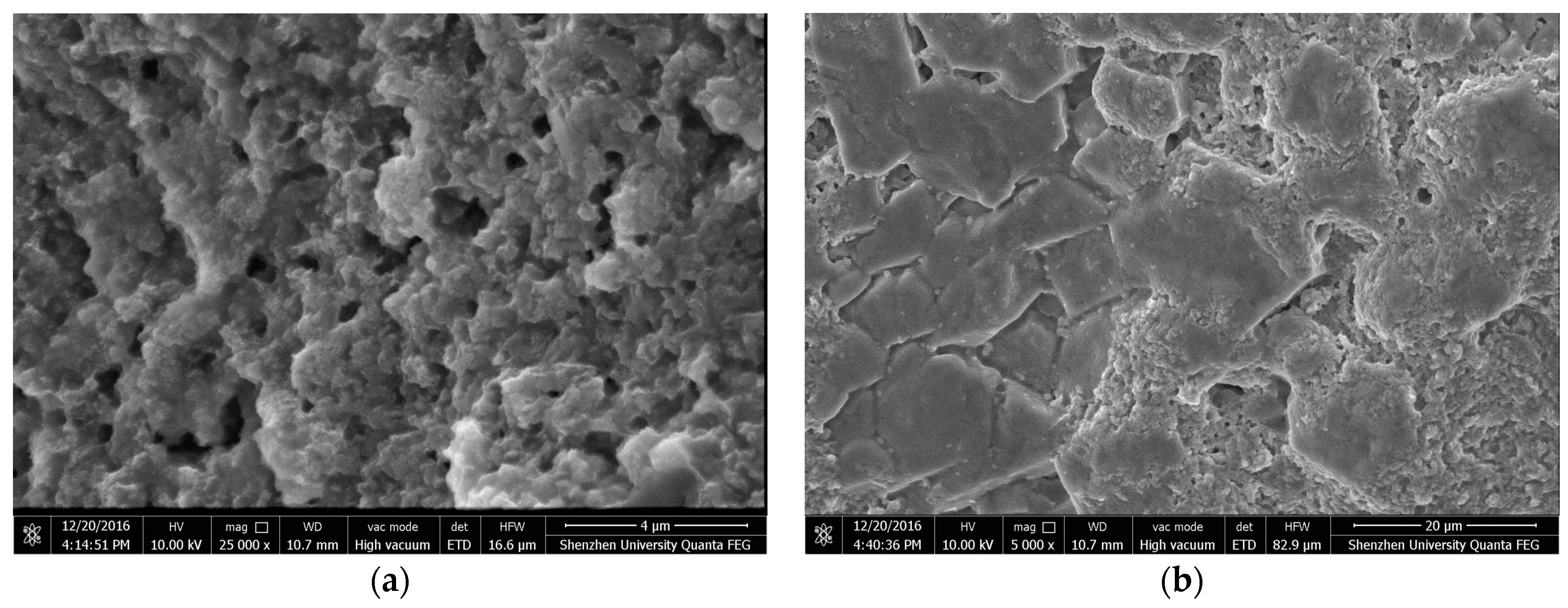 Materials 10 00691 g009 550