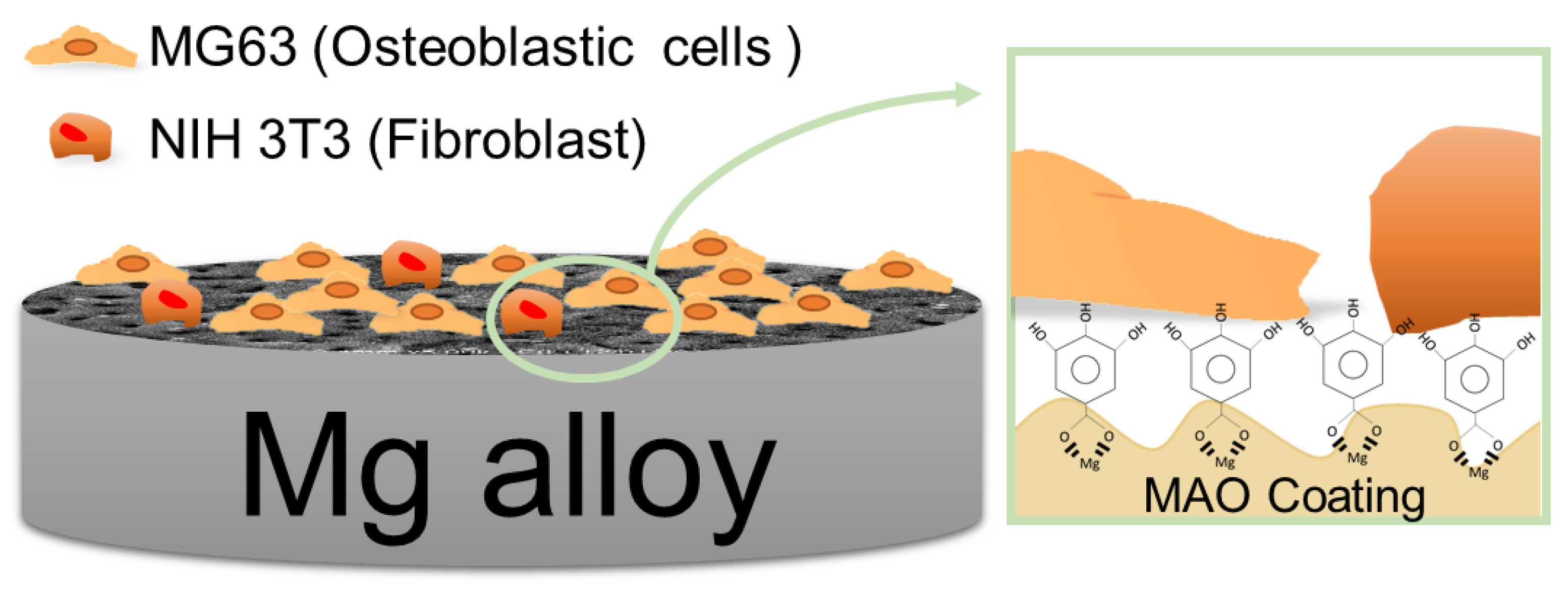 Materials 10 00696 g009 550