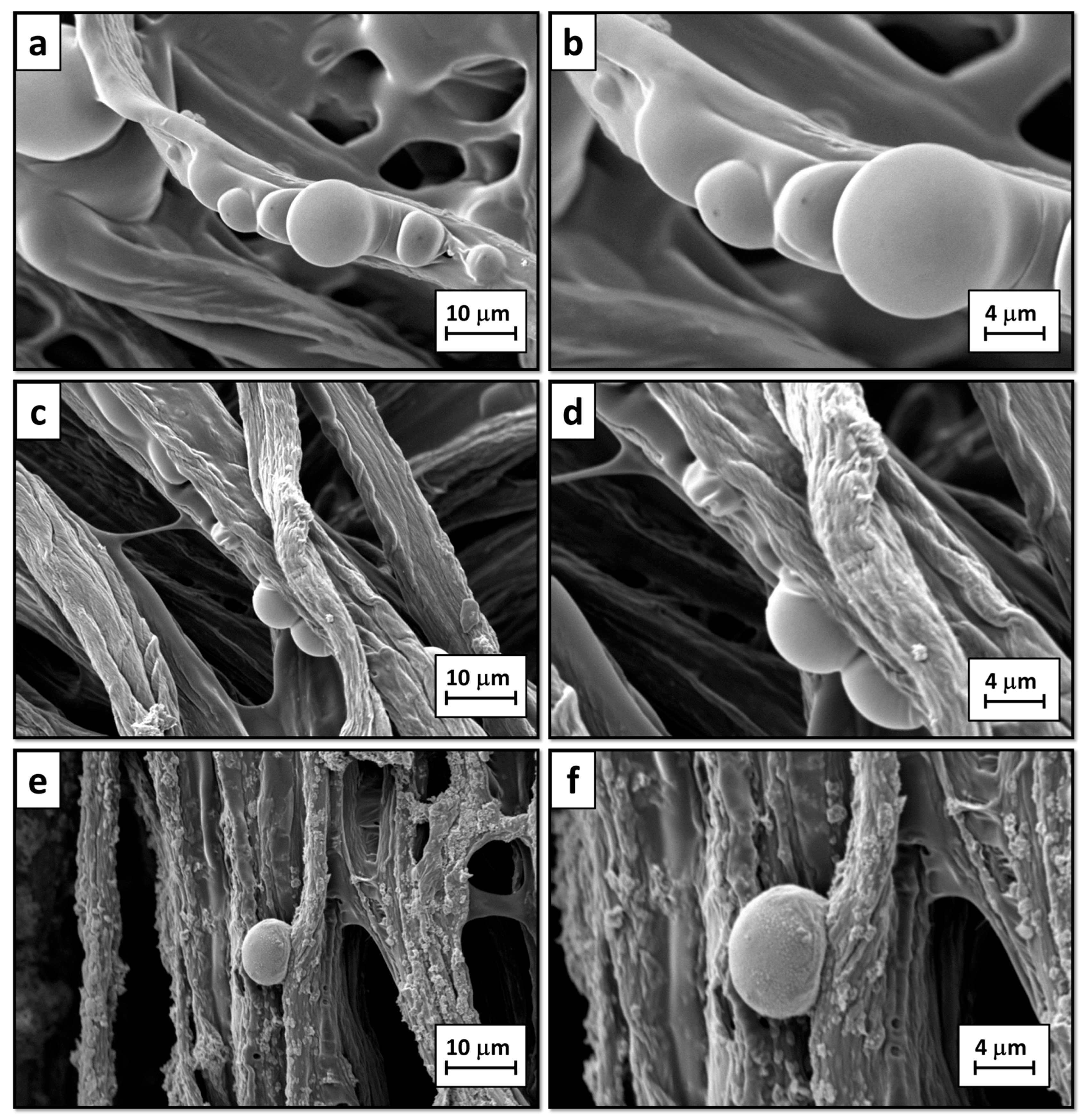 Materials 10 00709 g005 550