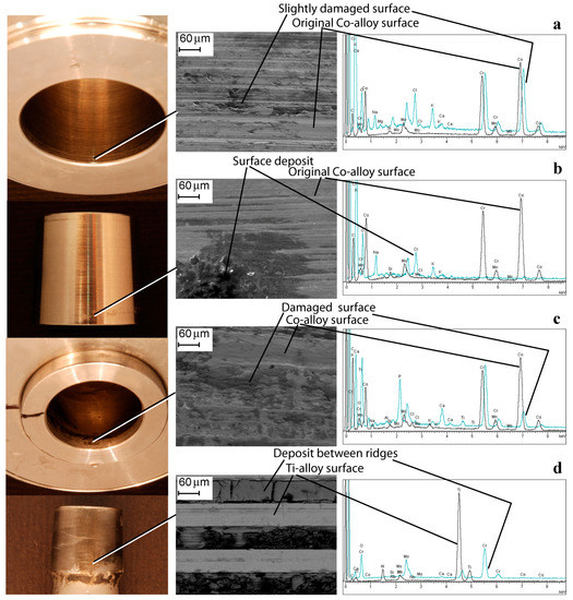 In Vivo Damage of the Head-Neck Junction in Hard-on-Hard