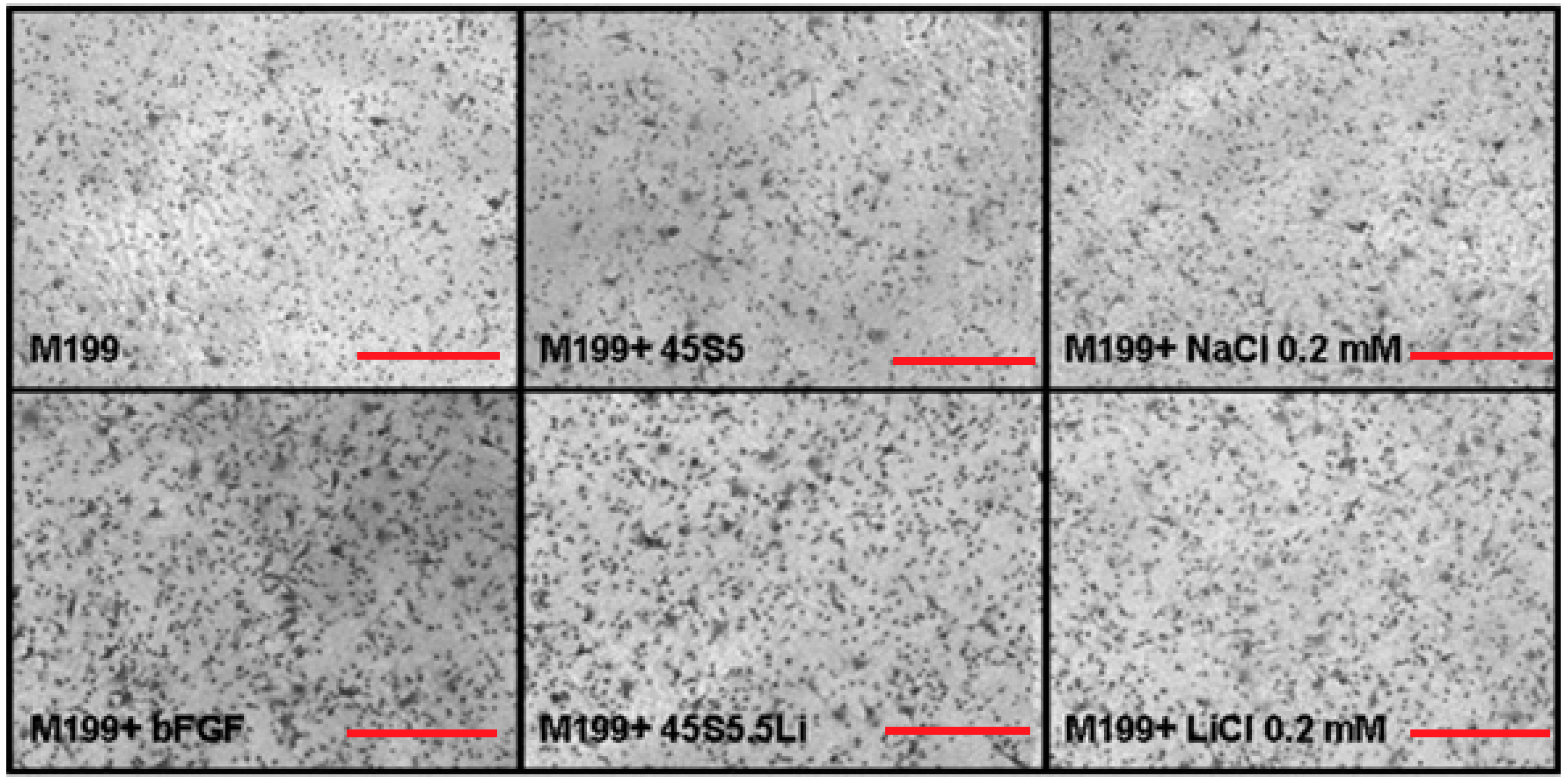 Materials 10 00740 g003