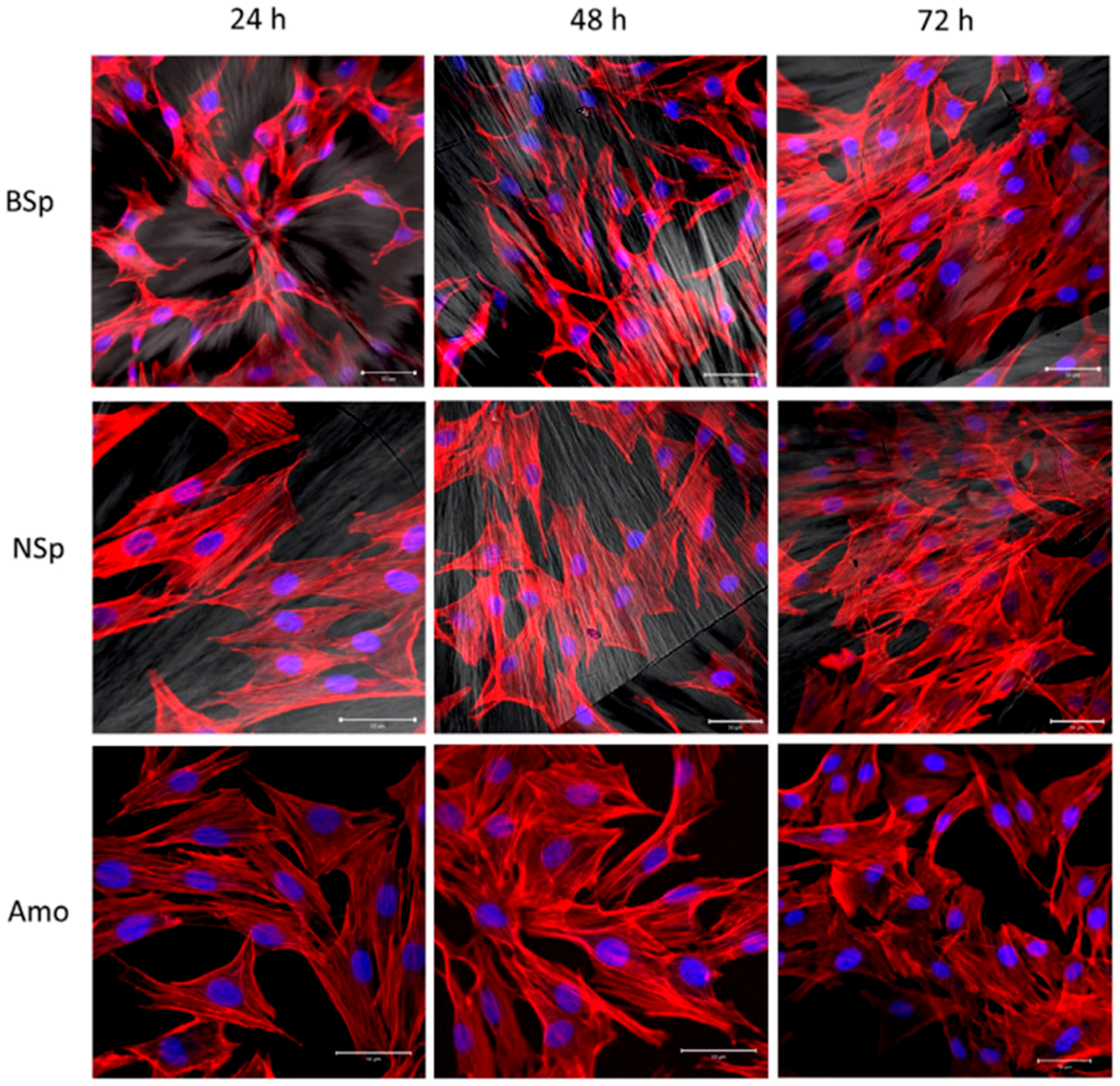 Materials 10 00748 g009 550