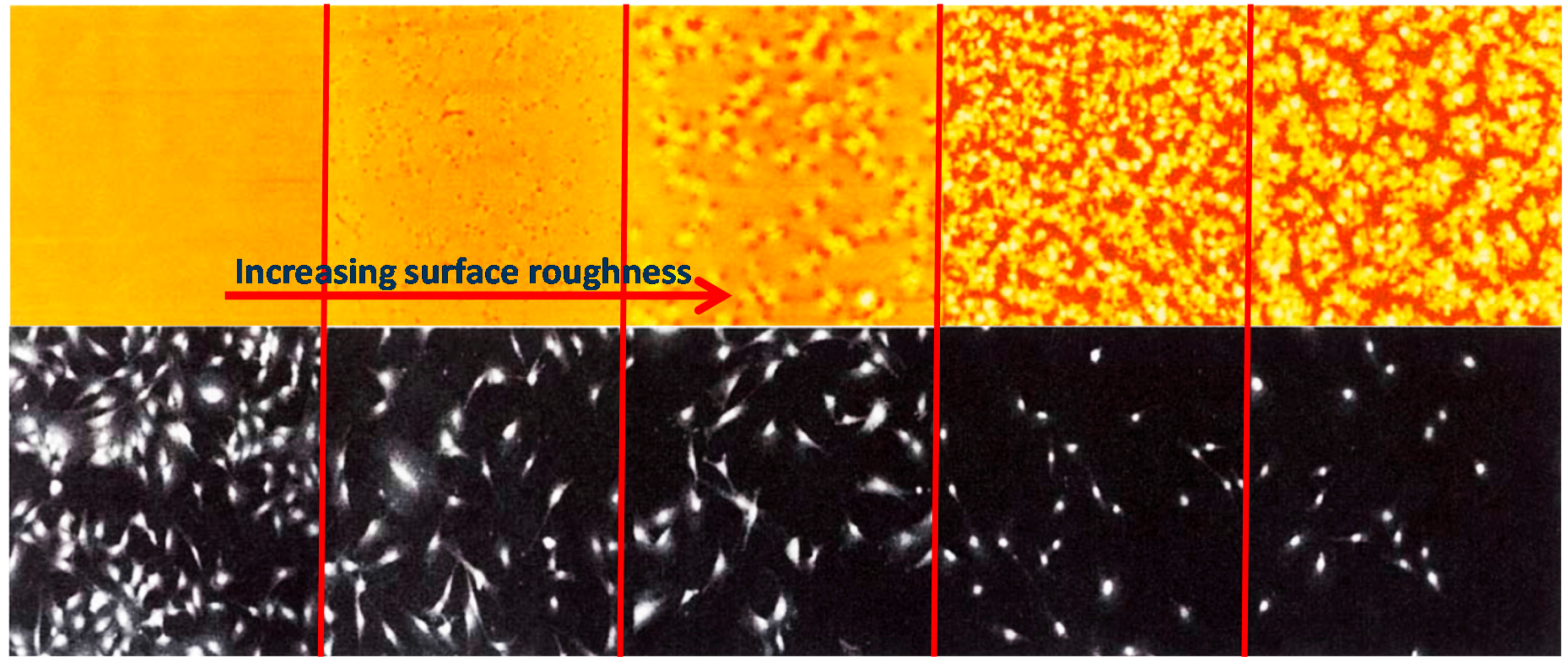 Materials 10 00748 g010 550