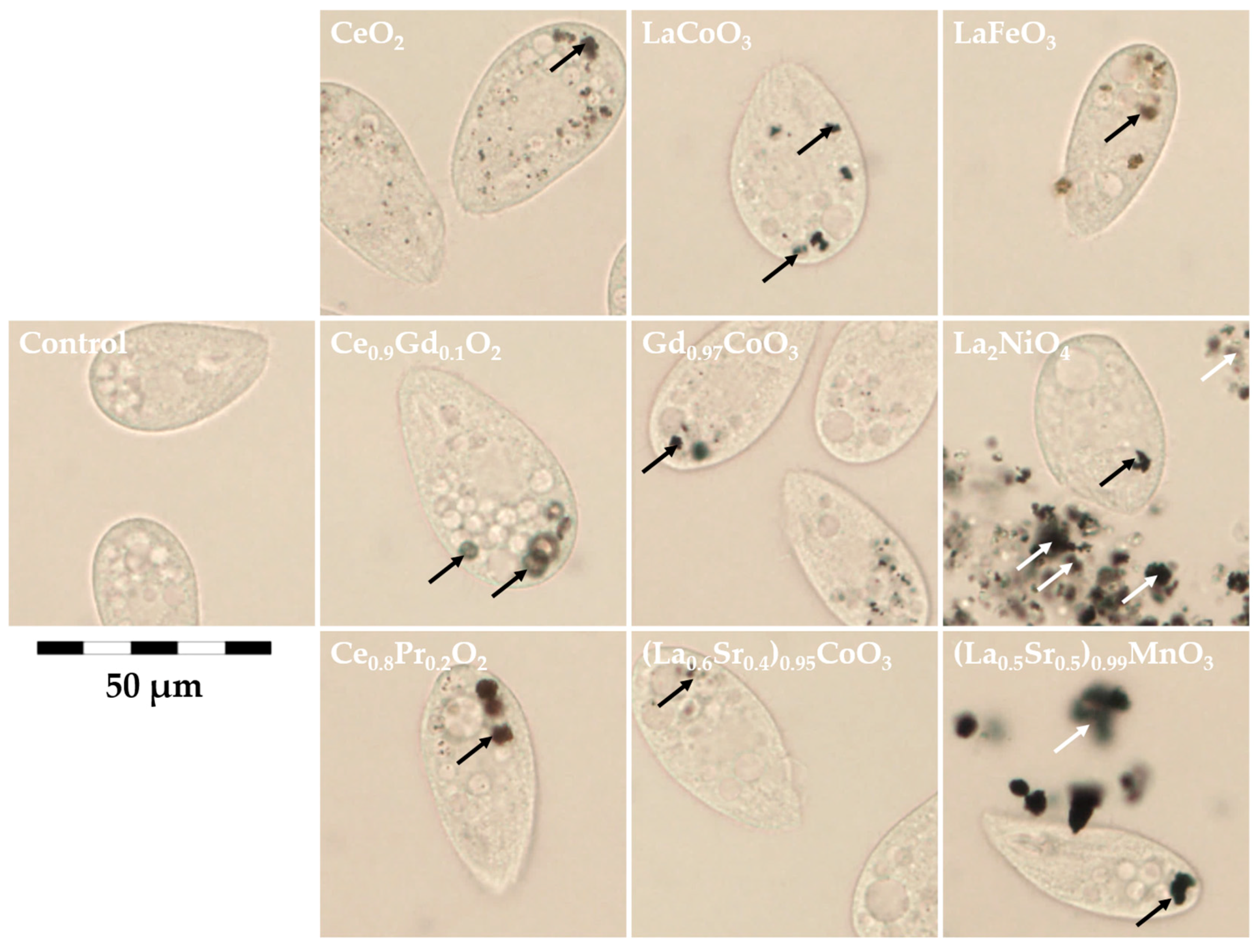 Materials 10 00754 g005 550