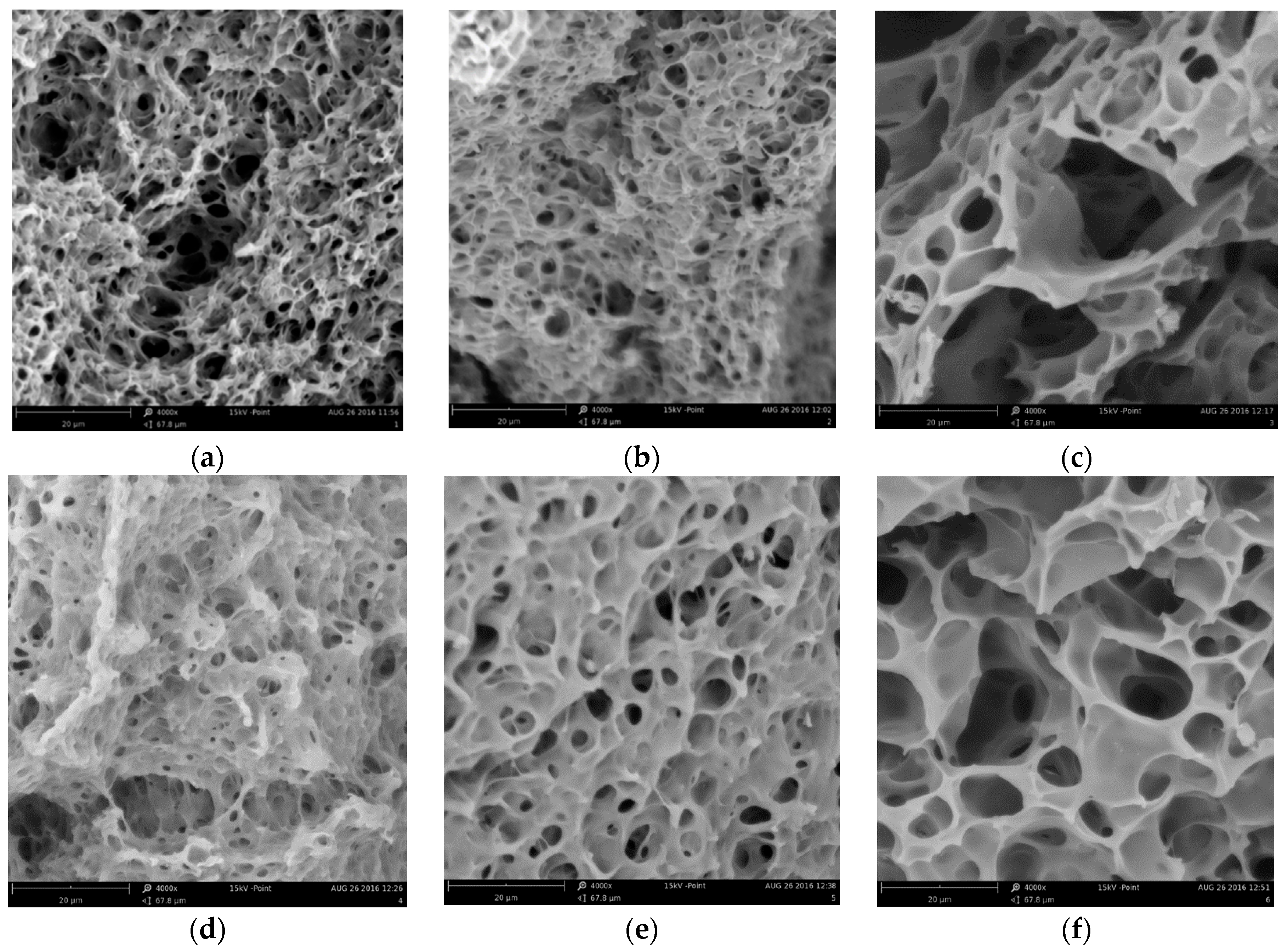 Materials 10 00755 g002