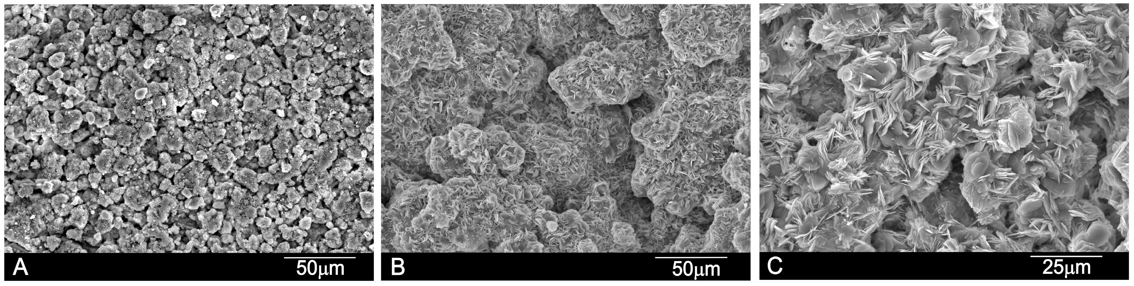 Materials 10 00758 g003