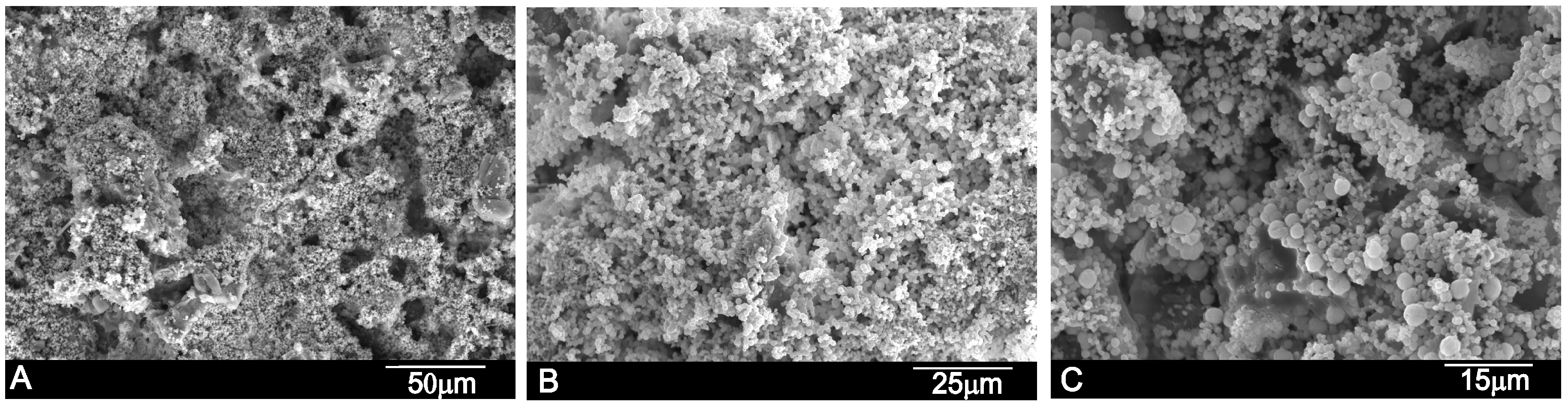 Materials 10 00758 g005