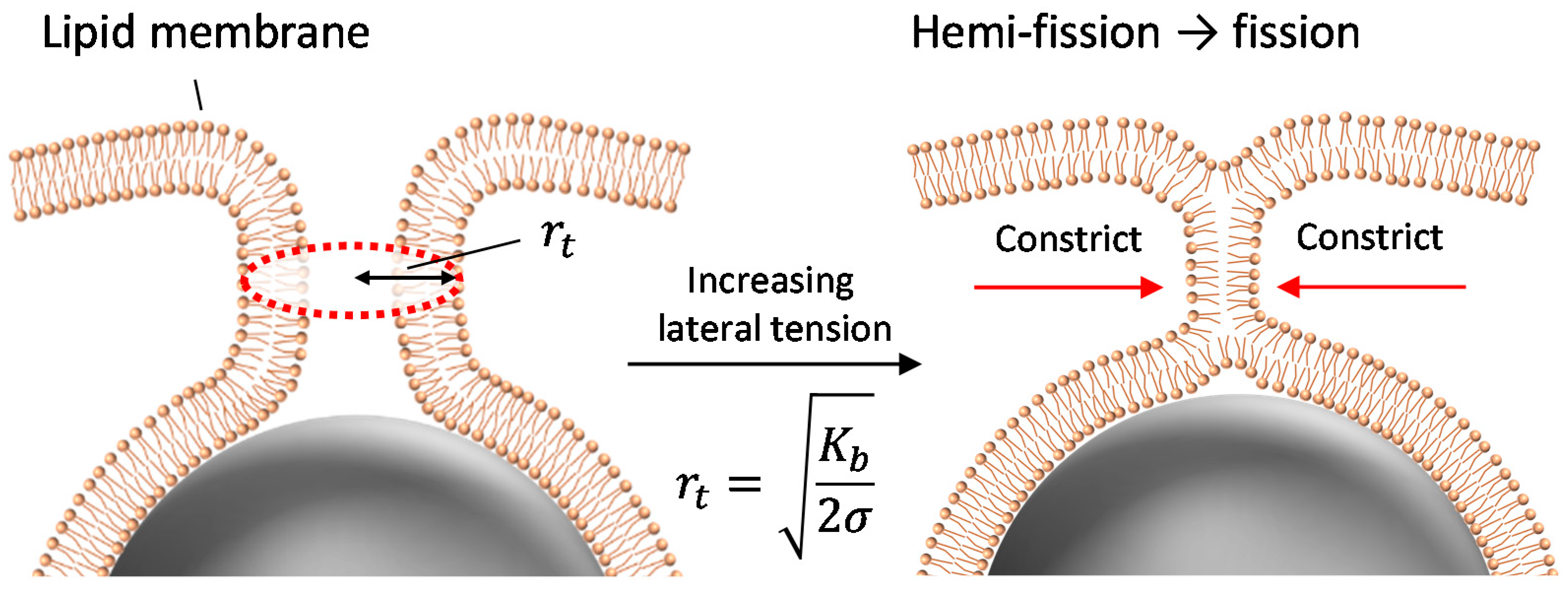 Materials 10 00765 g005