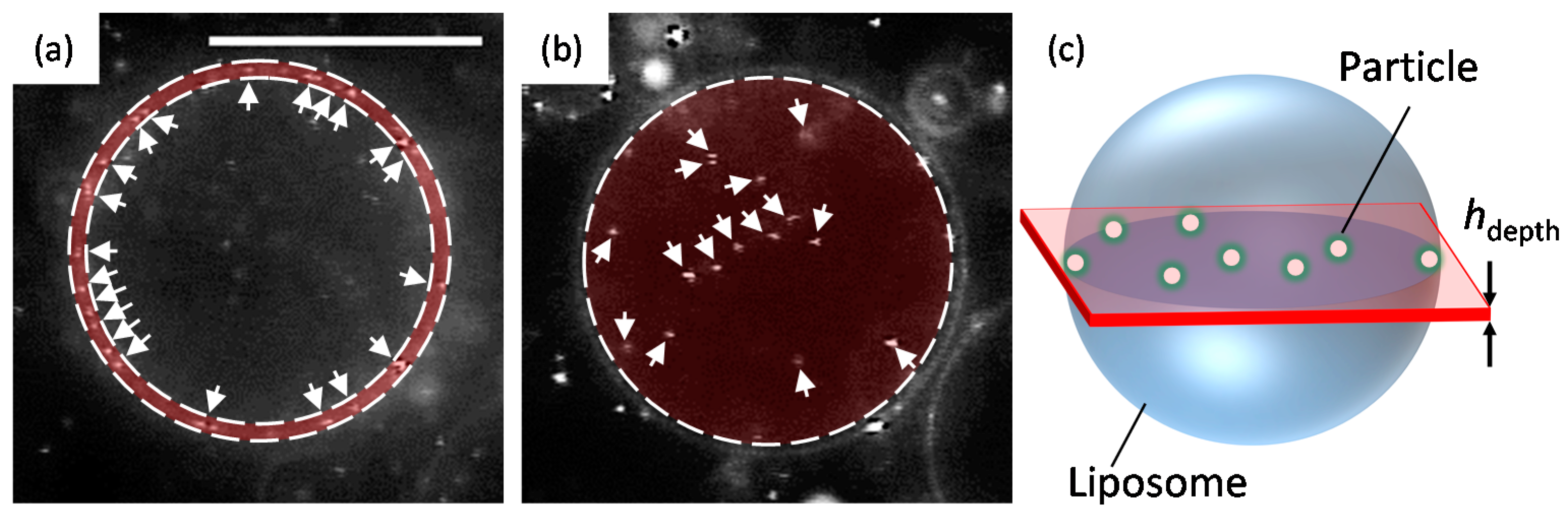Materials 10 00765 g007