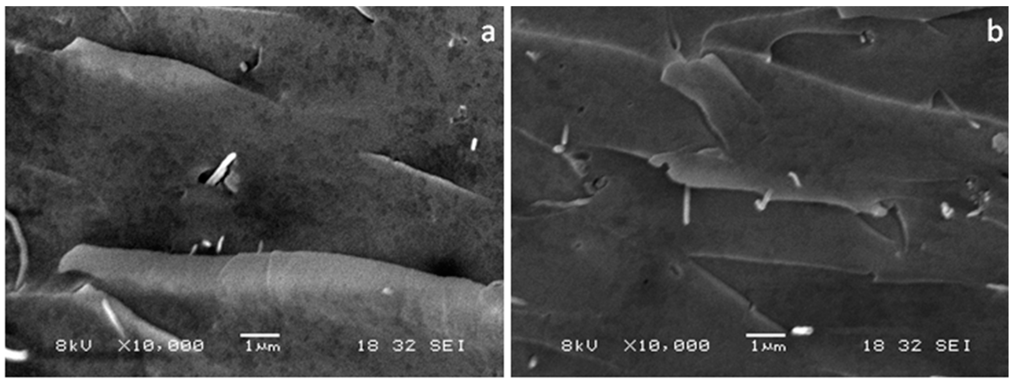 Materials 10 00776 g014a 550