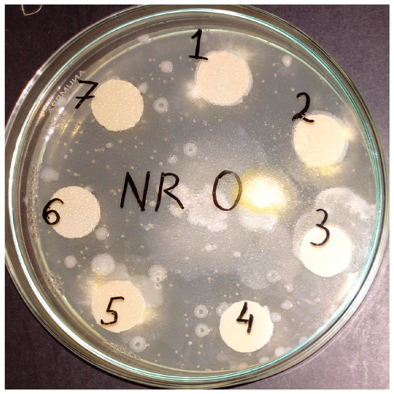 Materials 10 00787 g001