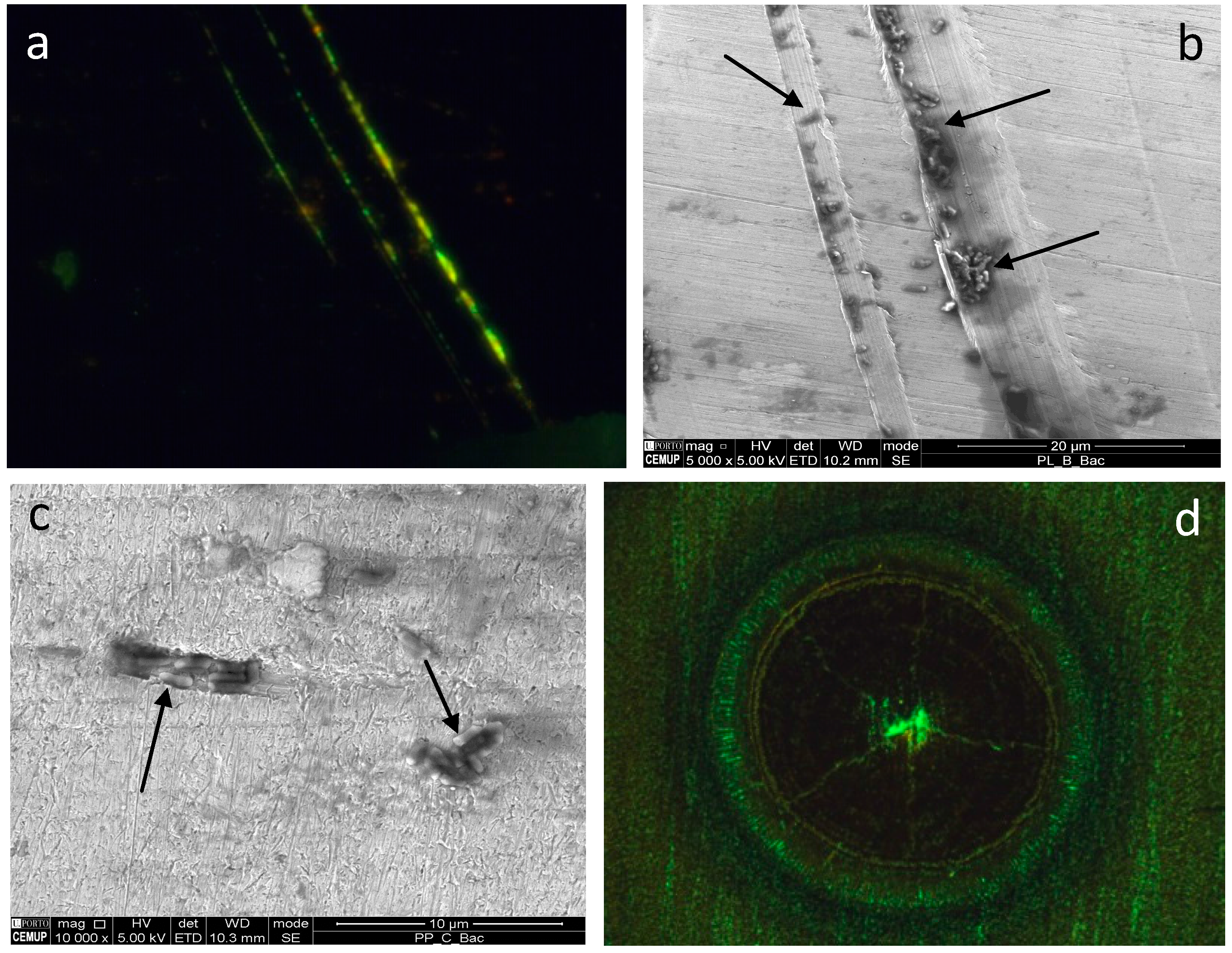 Materials 10 00788 g006