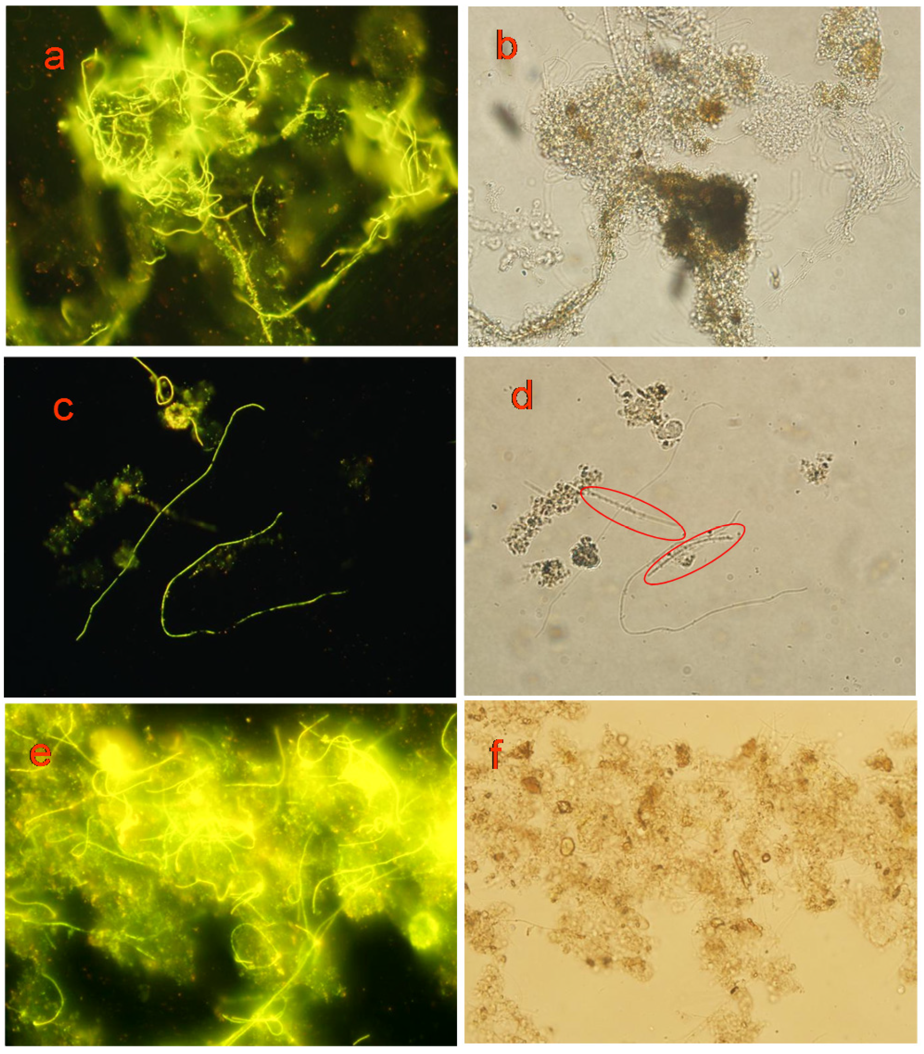 Materials 10 00804 g005
