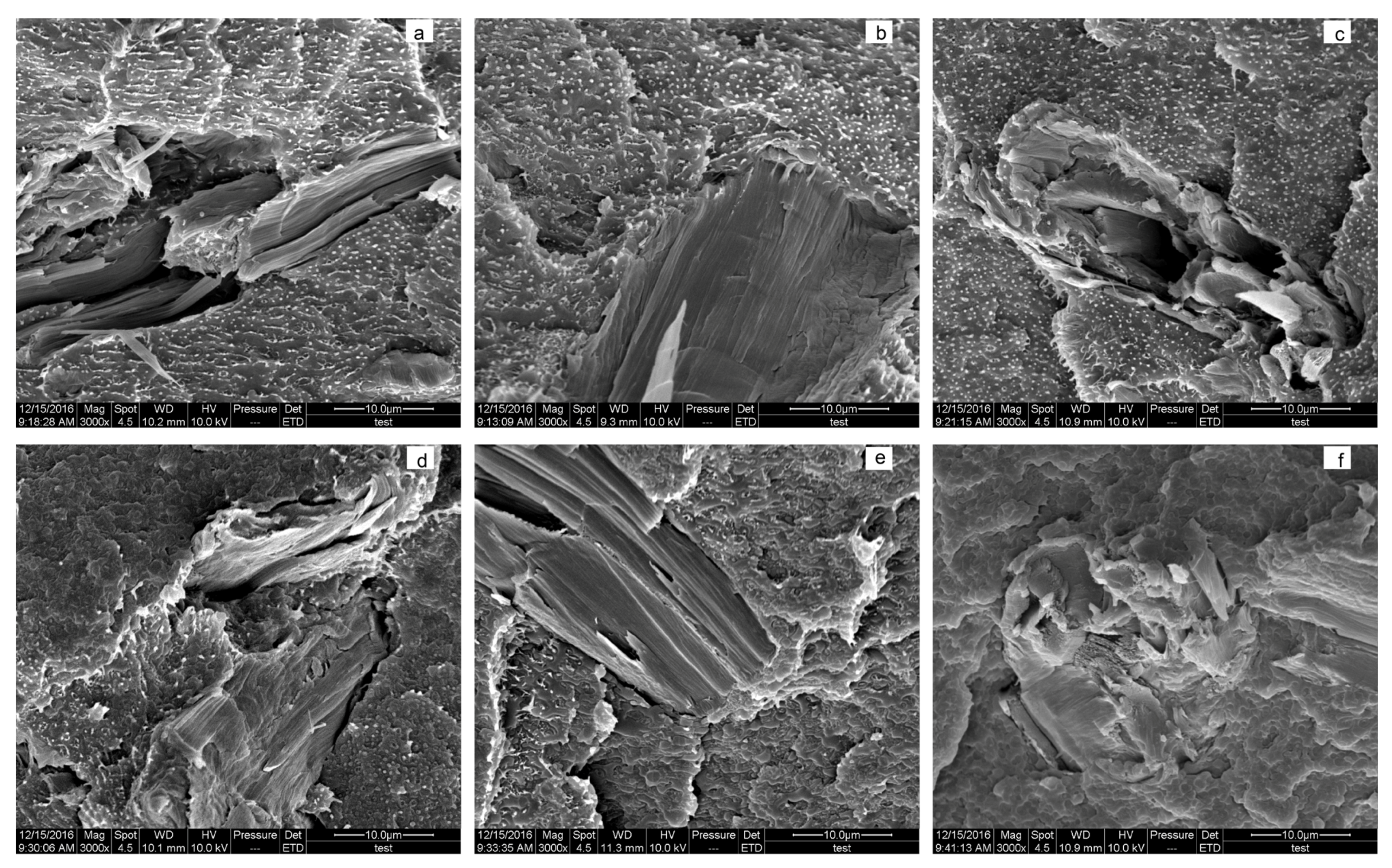 Materials 10 00808 g005a 550