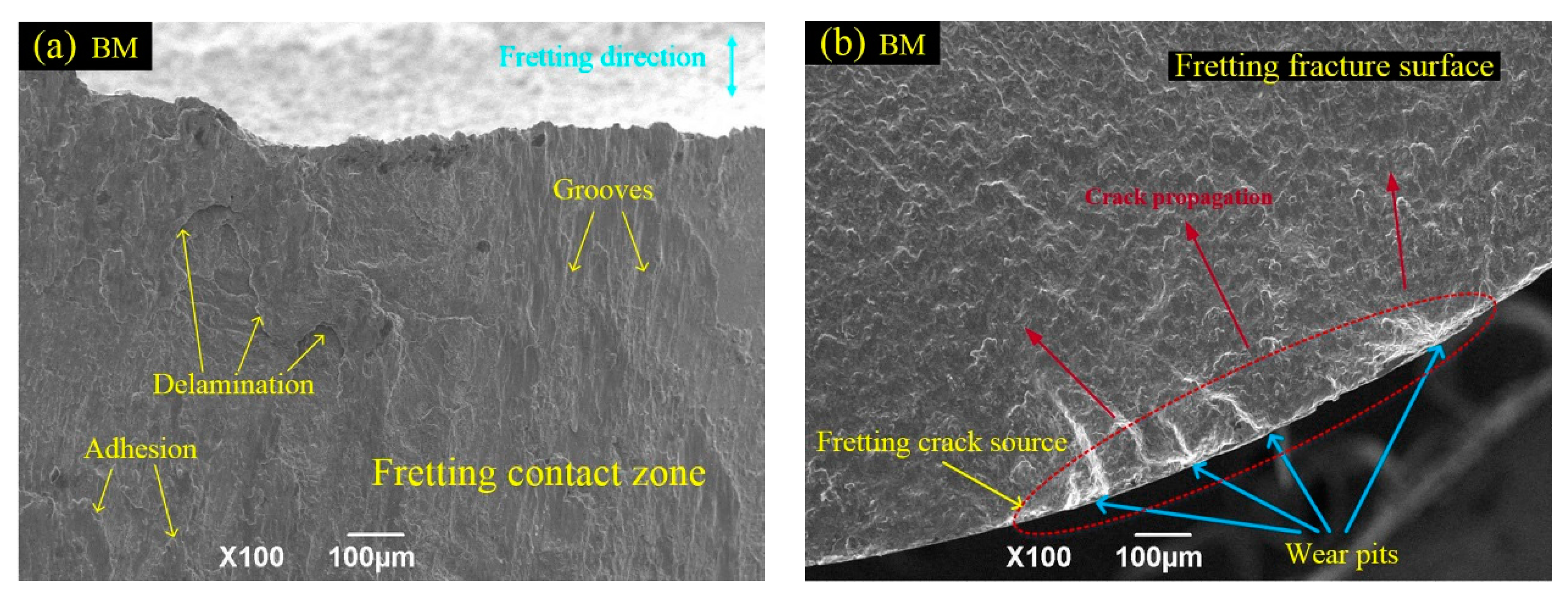 Materials 10 00833 g010a