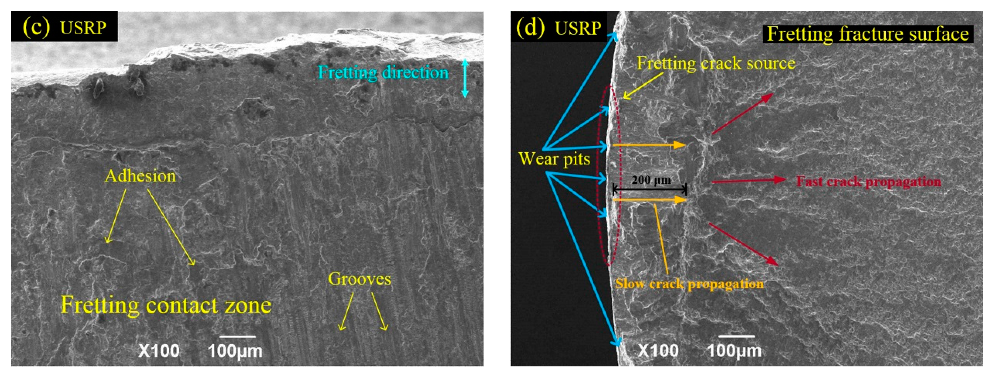Materials 10 00833 g010b