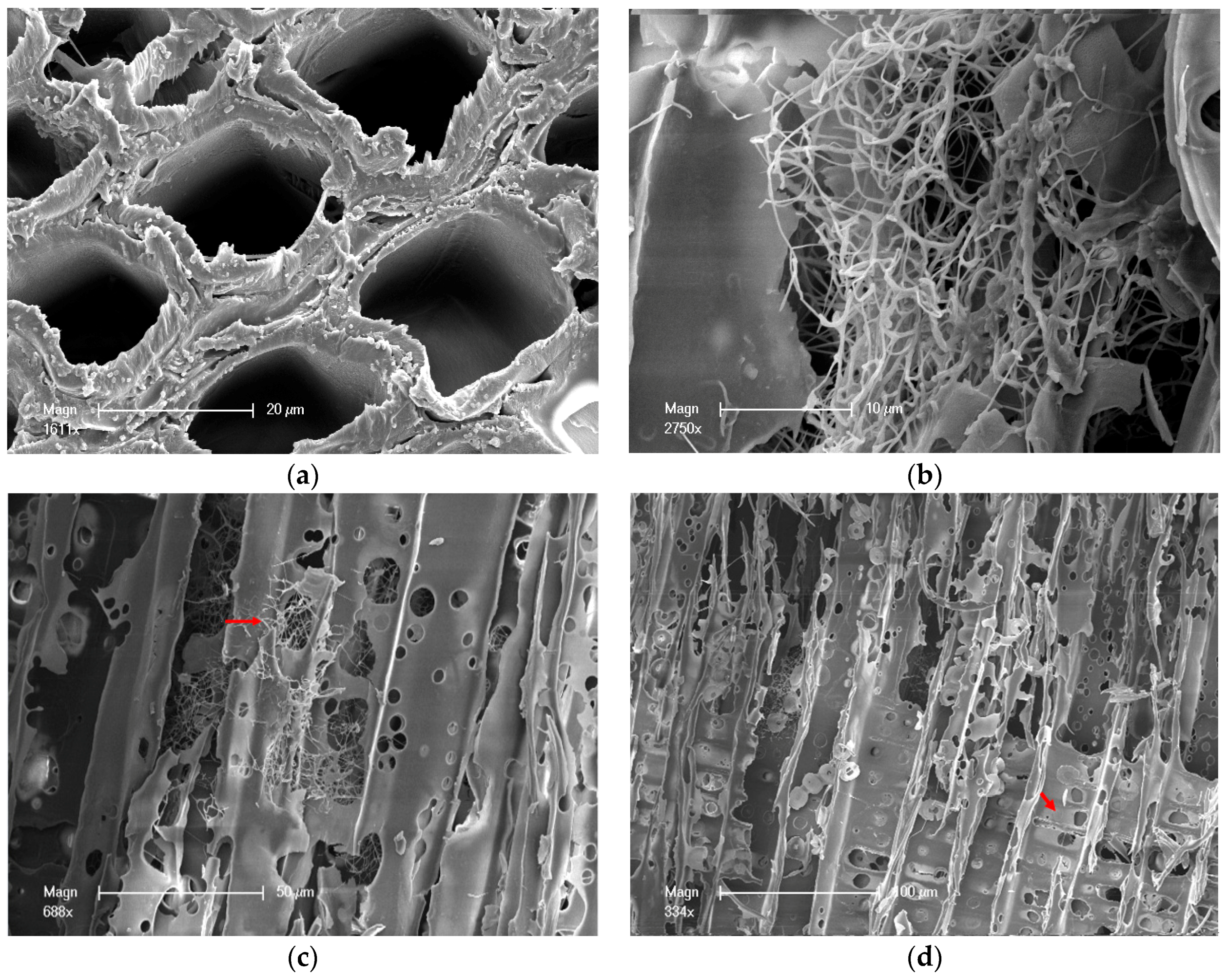 Materials 10 00834 g003a
