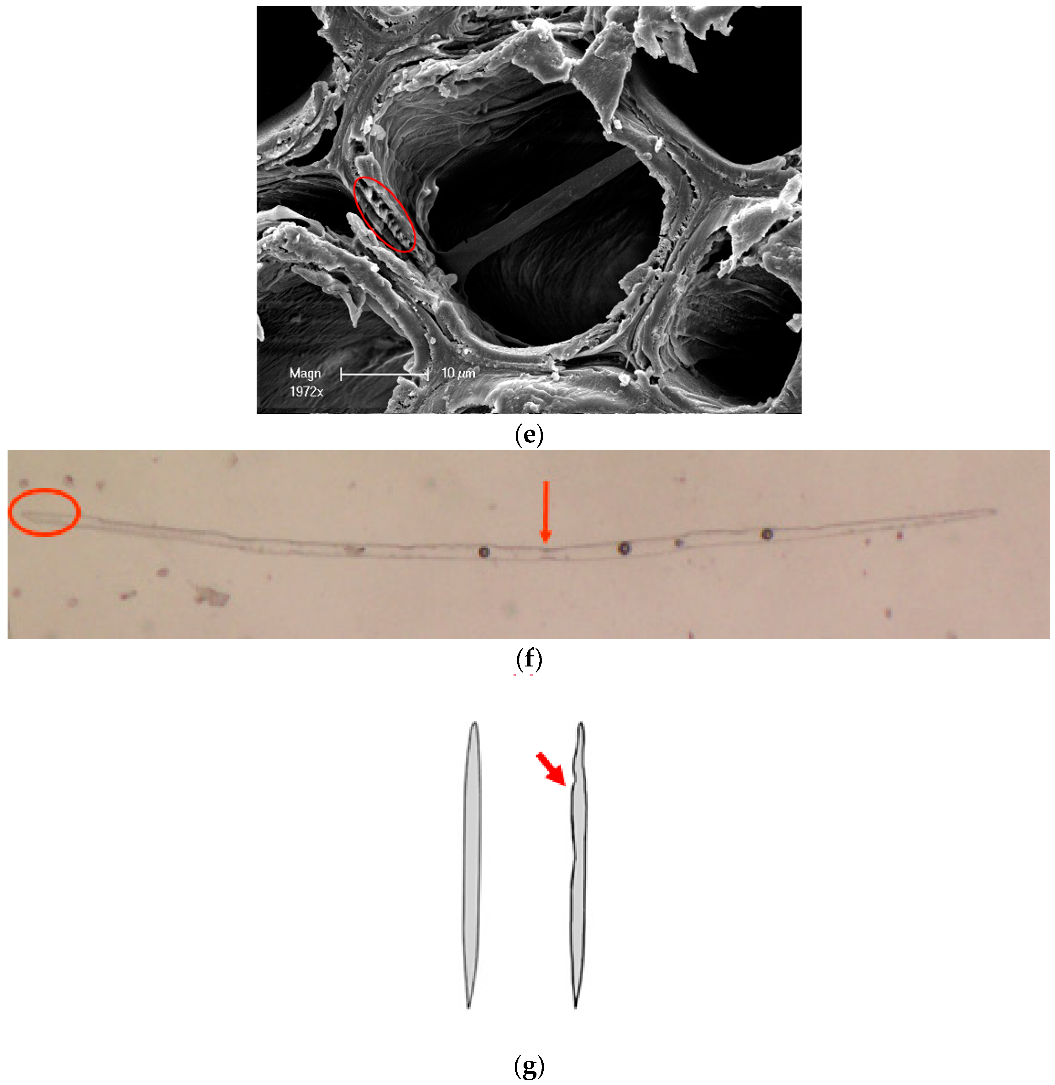 Materials 10 00834 g003b