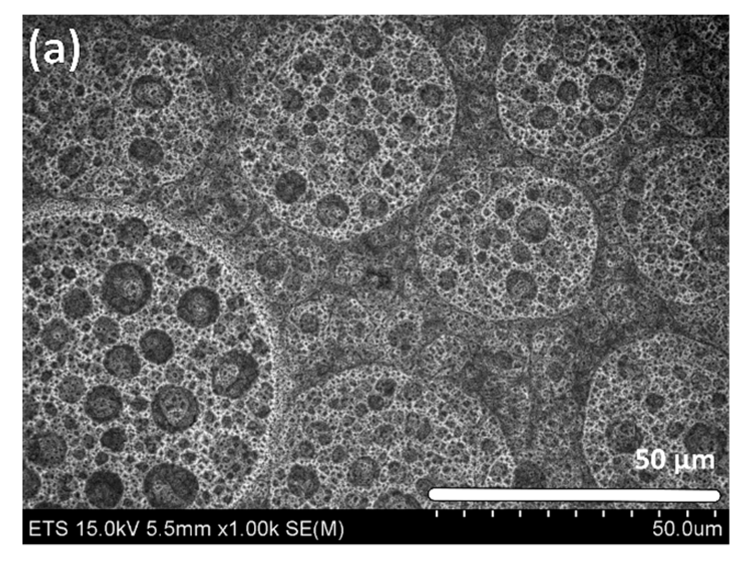 Materials 10 00854 g003a 550