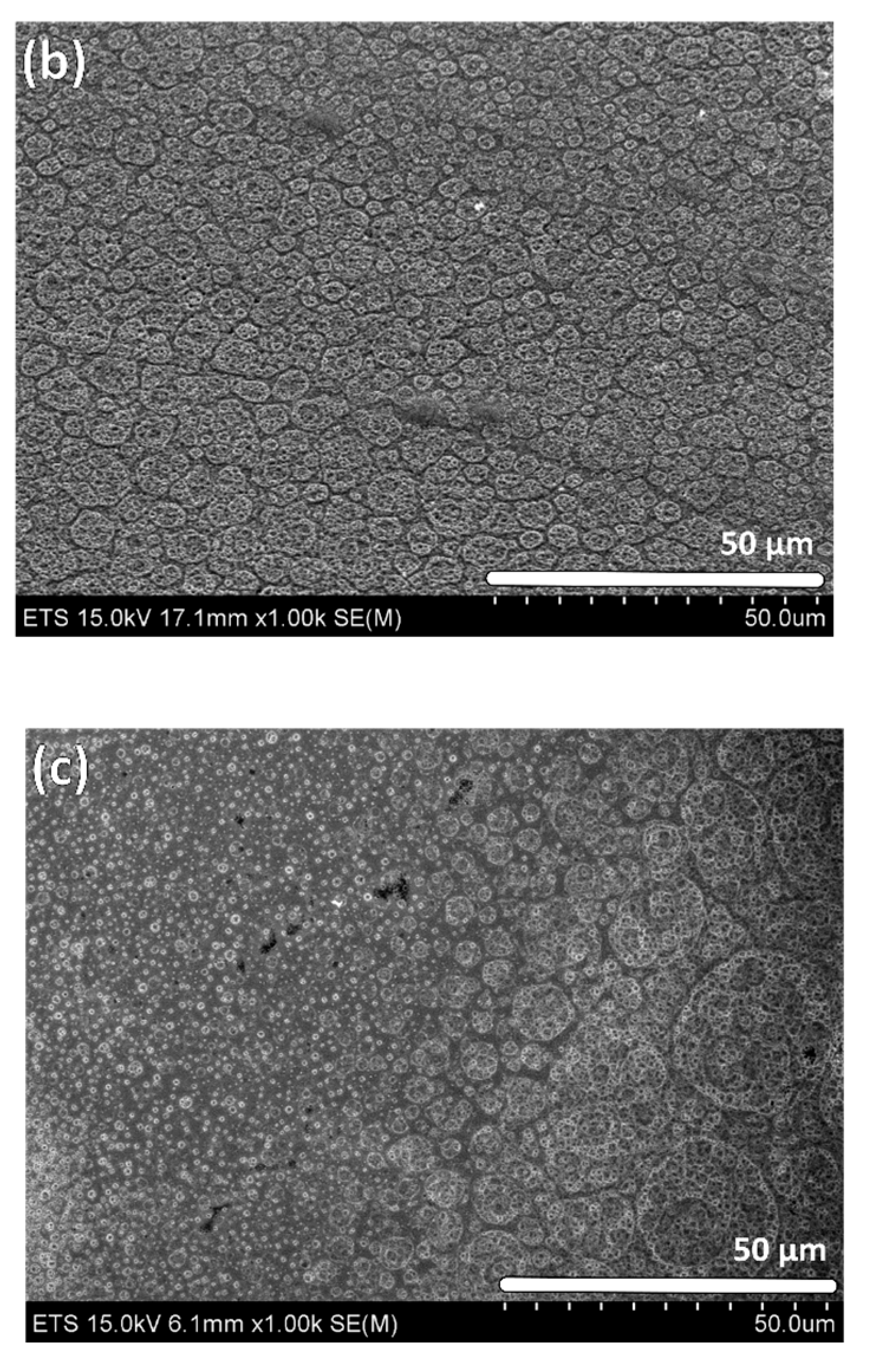 Materials 10 00854 g003b 550