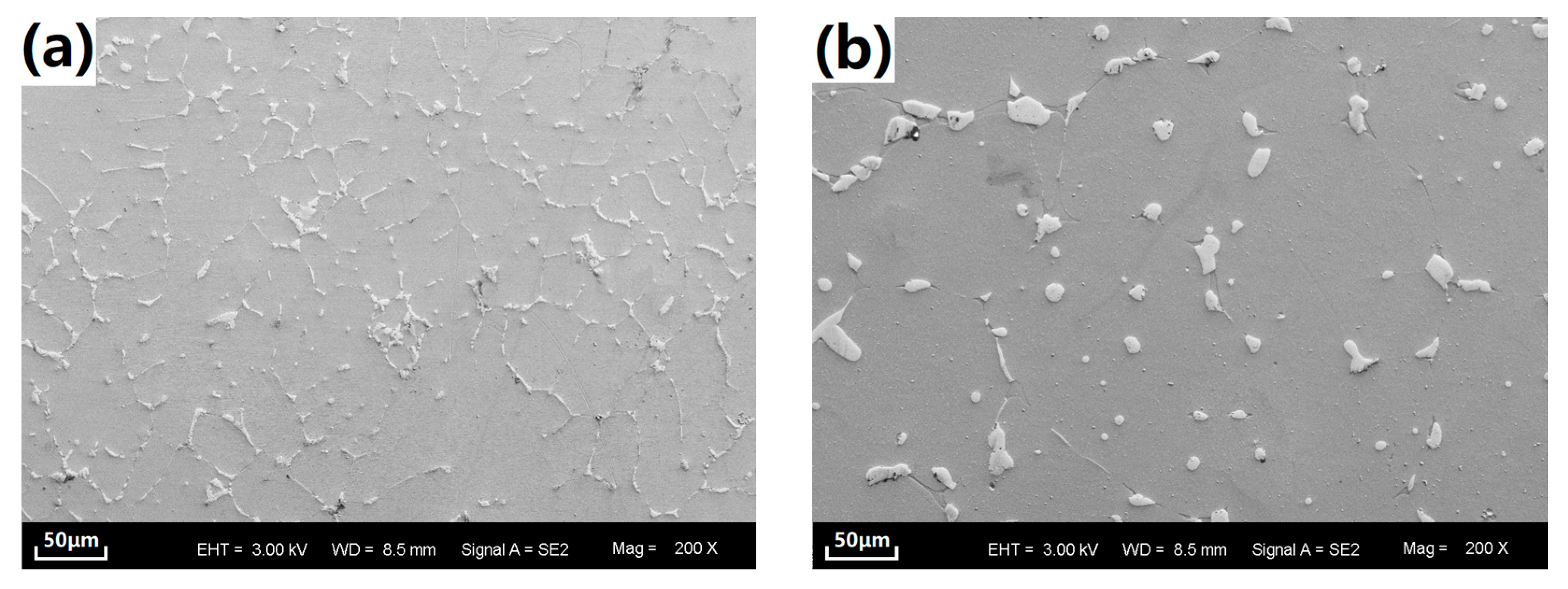 Materials 10 00858 g001