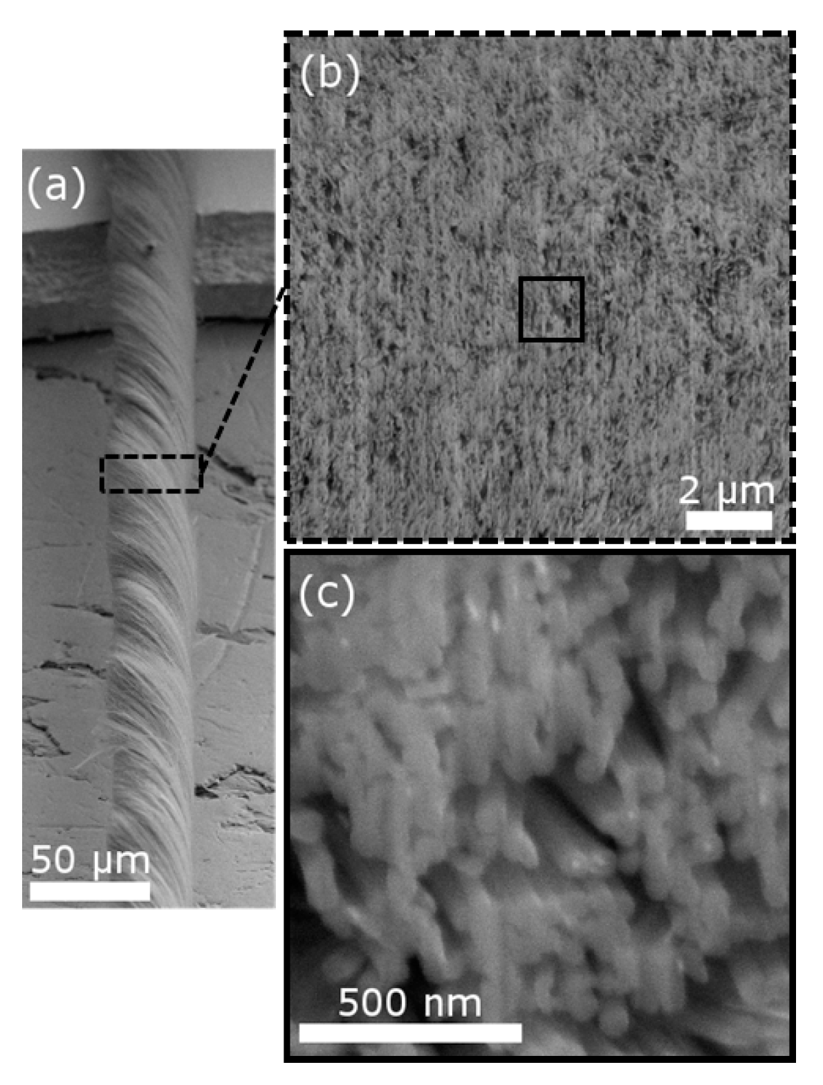 Materials 10 00860 g001 550