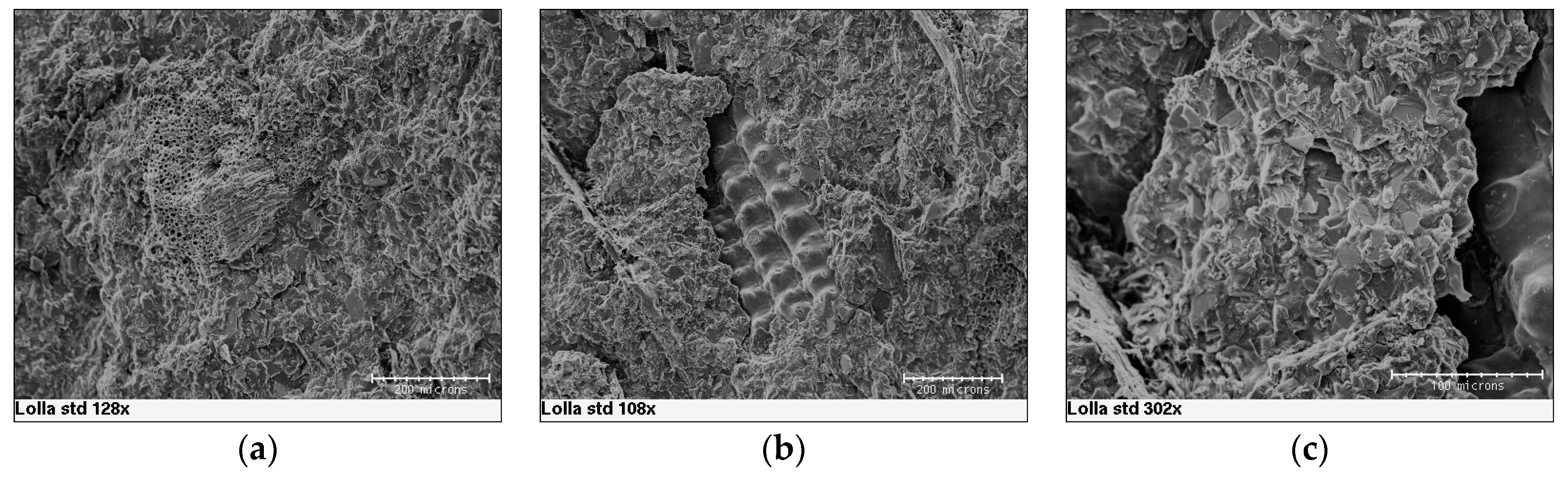 Materials 10 00872 g008