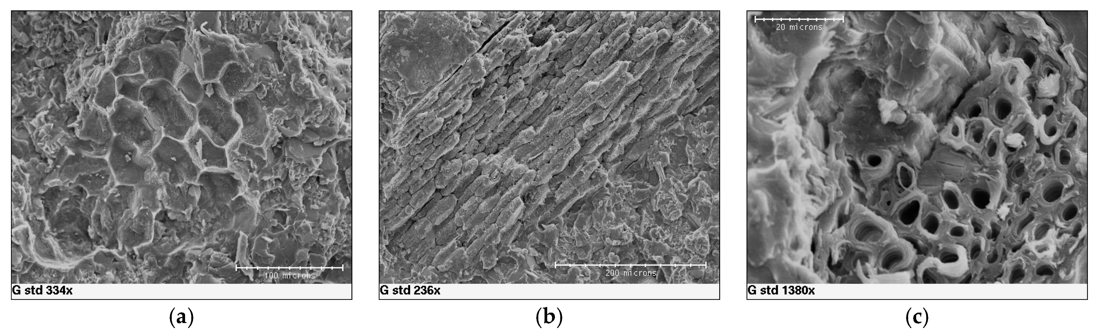 Materials 10 00872 g009