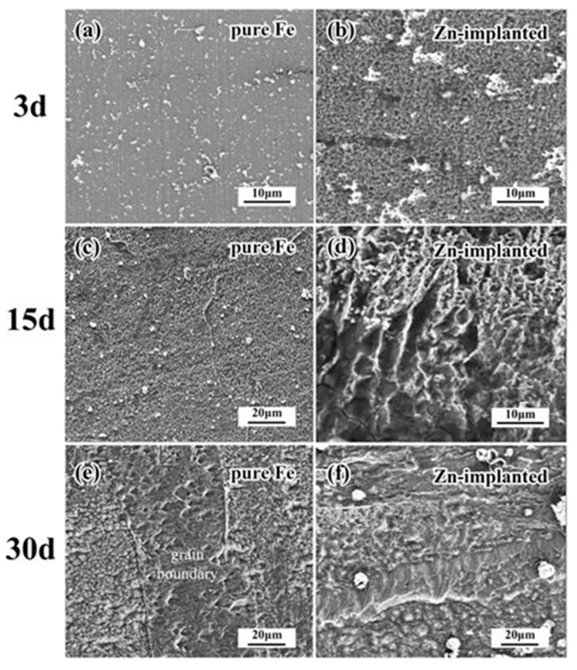 Materials 10 00884 g010