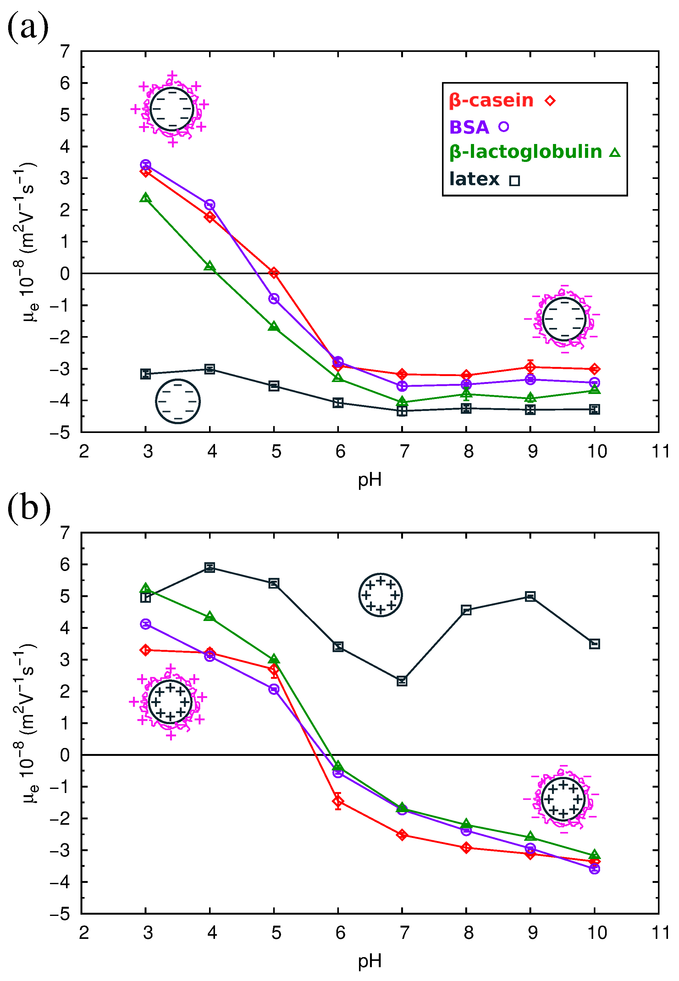 Materials Free Full Text Adsorption Of Milk Proteins B Casein And B Lactoglobulin And Bsa Onto Hydrophobic Surfaces Html Materials Free Full Text Adsorption Of Milk Proteins B Casein And B Lactoglobulin And Bsa Onto Hydrophobic Surfaces Html