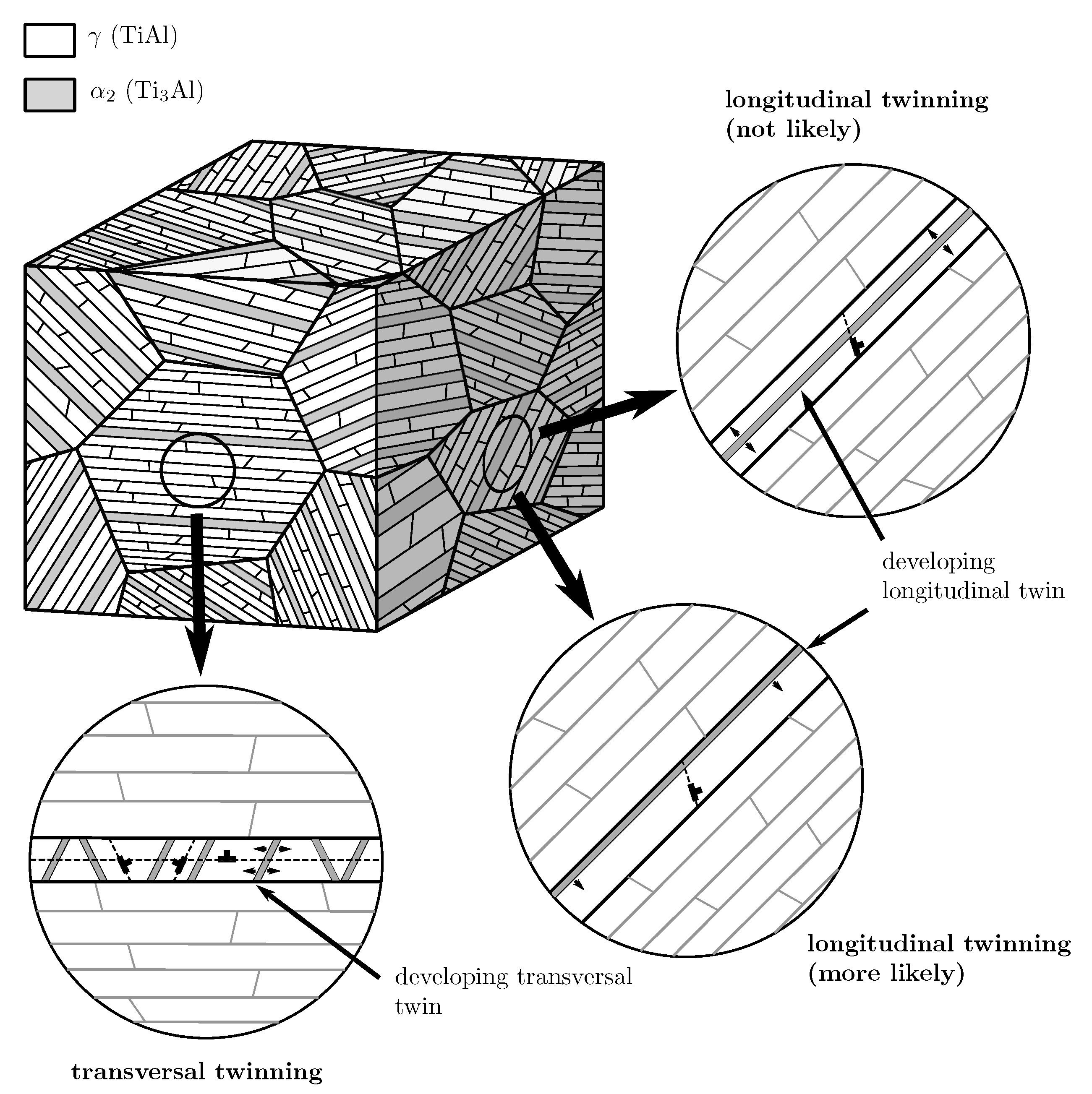 Materials 10 00896 g007