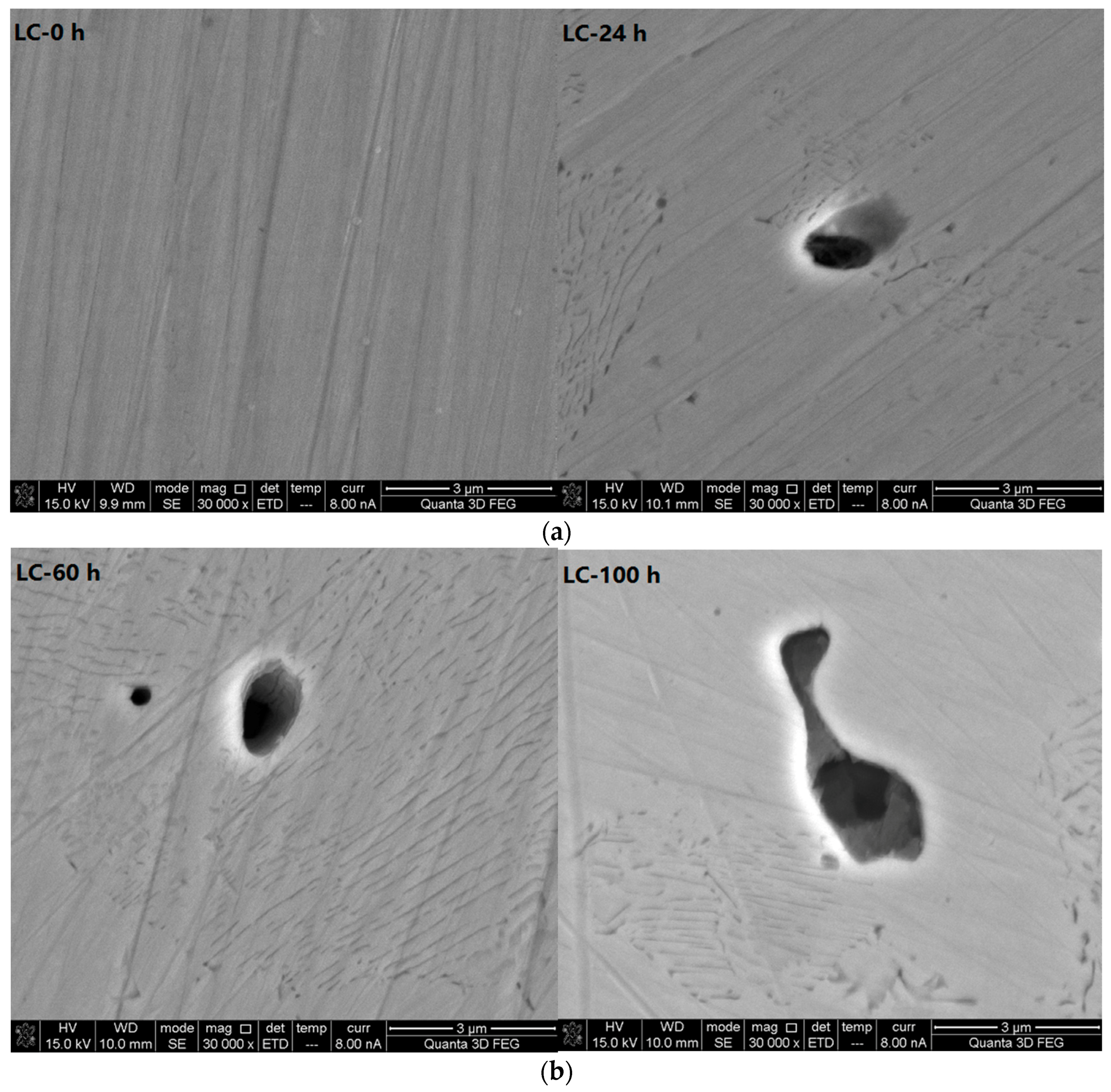 Materials 10 00903 g006a