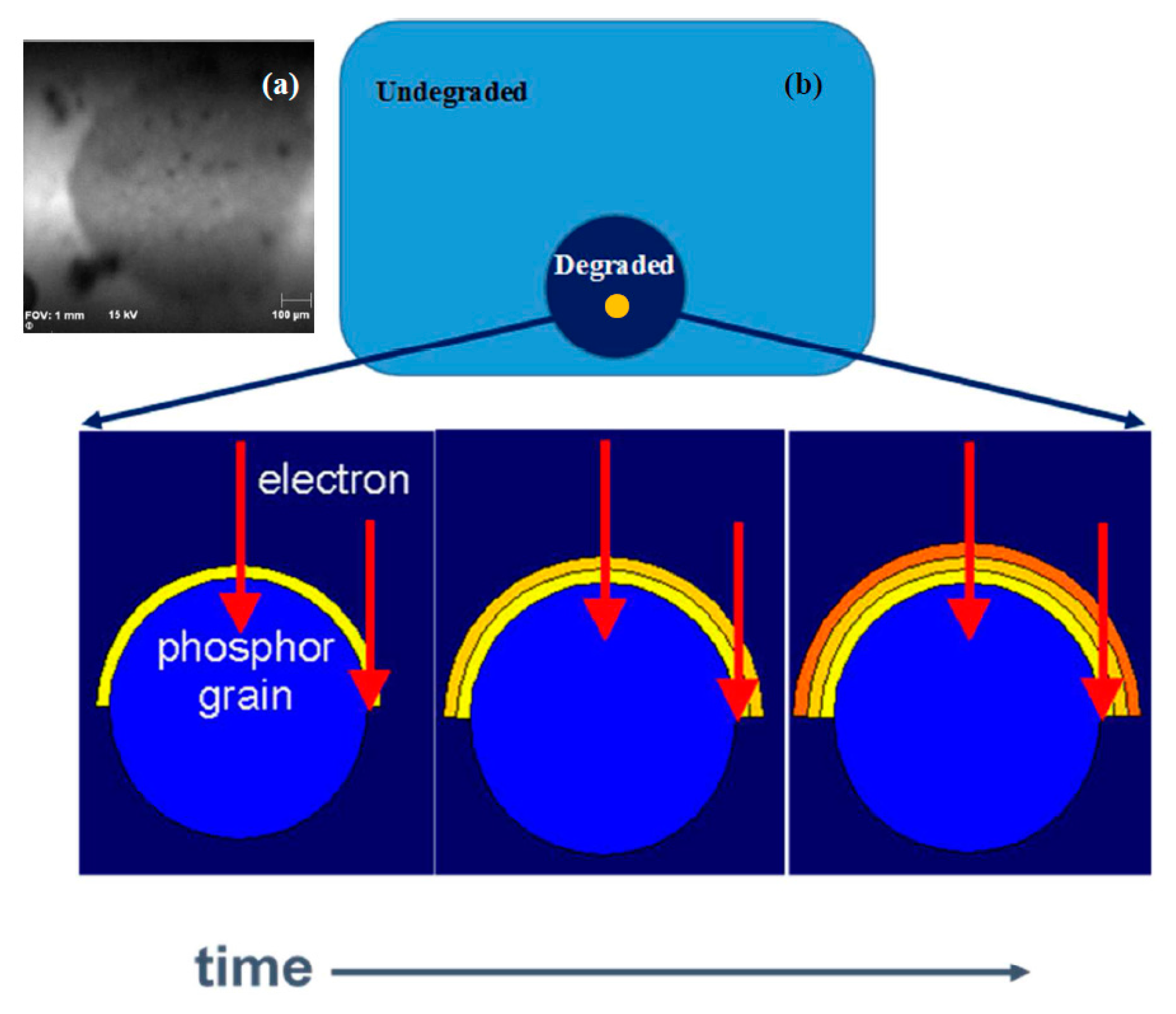 Materials 10 00906 g004 550