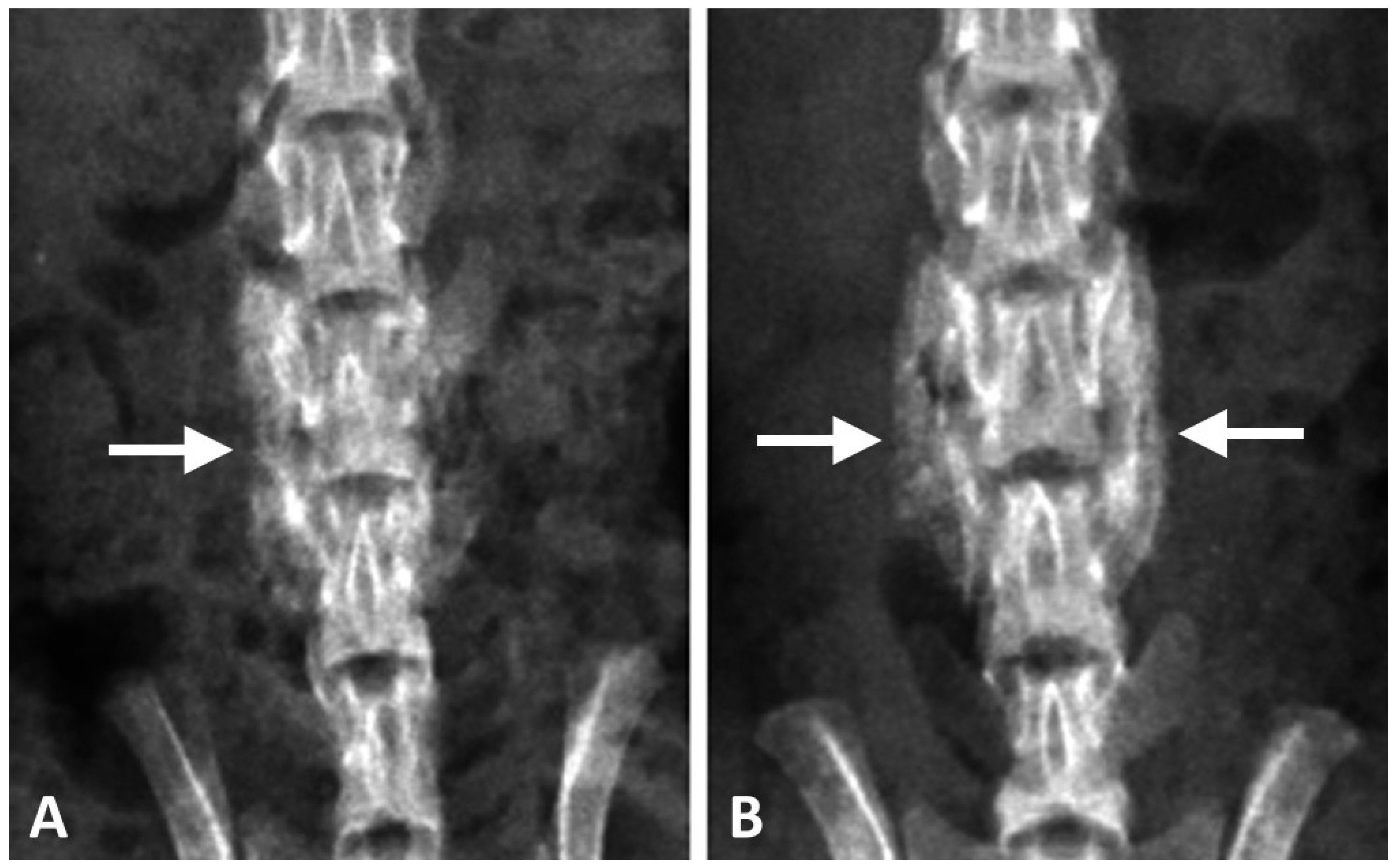 Materials 10 00910 g004 550